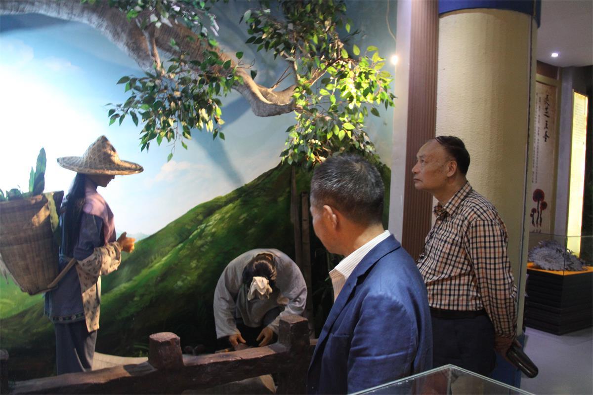 中國靈芝十大品牌|仙客來靈芝|仙客來靈芝破壁孢子粉|仙客來孢子油|仙客來靈芝飲片|仙客來破壁孢子粉|仙客來靈芝中藥飲片|馳名商標|m.sinishell.cn|