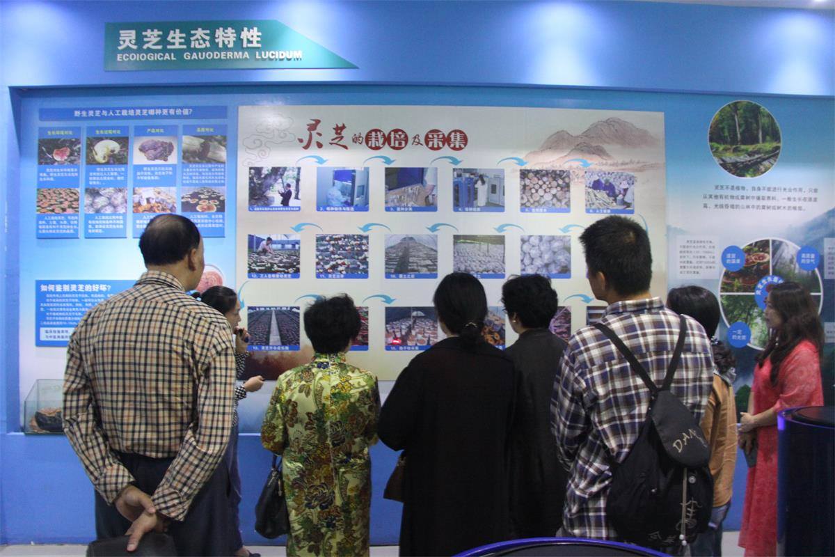 中國靈芝十大品牌|仙客來靈芝|仙客來靈芝破壁孢子粉|仙客來孢子油|仙客來靈芝飲片|仙客來破壁孢子粉|仙客來靈芝中藥飲片|馳名商標|m.sinishell.cn|