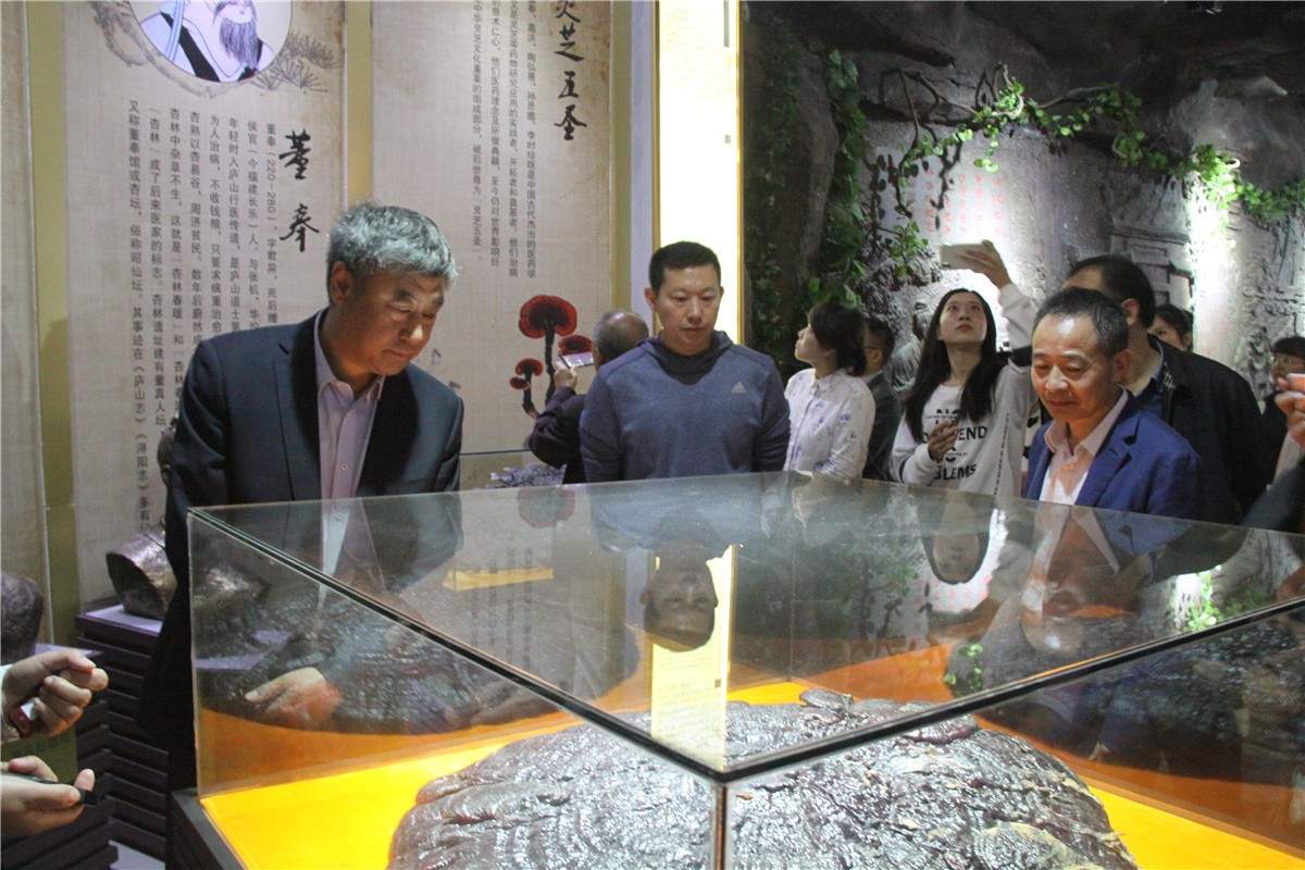 中國靈芝十大品牌|仙客來靈芝|仙客來靈芝破壁孢子粉|仙客來孢子油|仙客來靈芝飲片|仙客來破壁孢子粉|仙客來靈芝中藥飲片|馳名商標(biāo)|m.sinishell.cn|