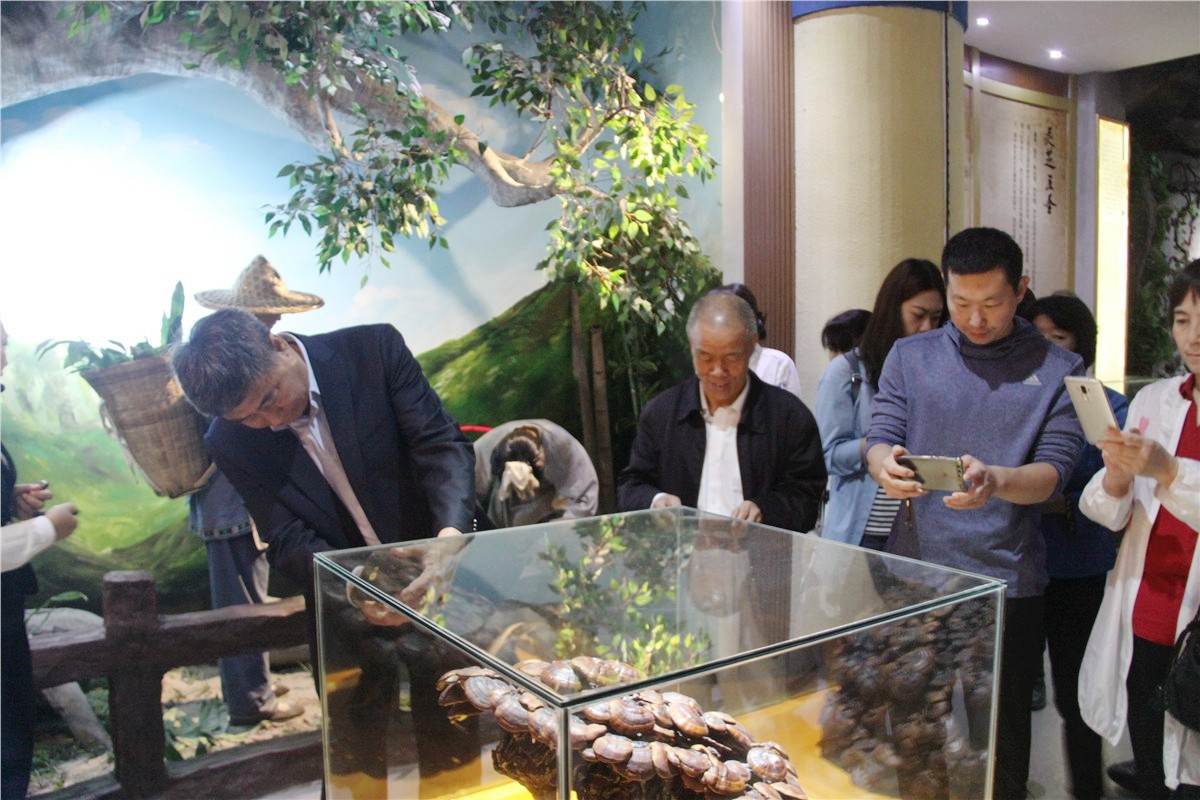 中國靈芝十大品牌|仙客來靈芝|仙客來靈芝破壁孢子粉|仙客來孢子油|仙客來靈芝飲片|仙客來破壁孢子粉|仙客來靈芝中藥飲片|馳名商標(biāo)|m.sinishell.cn|