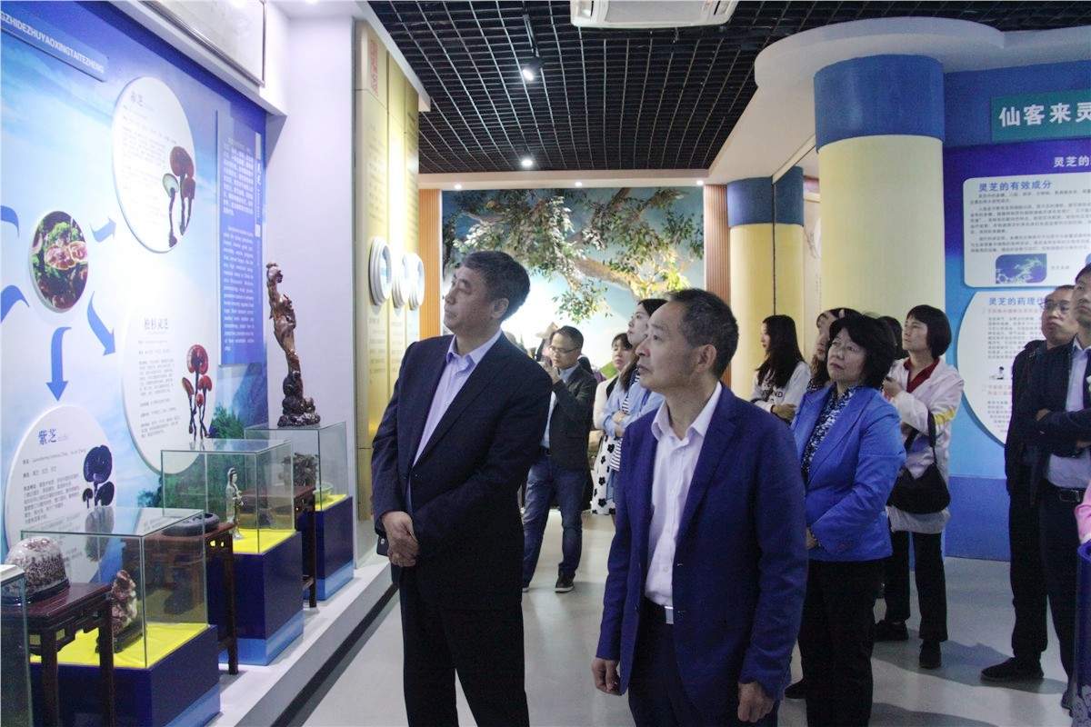 中國靈芝十大品牌|仙客來靈芝|仙客來靈芝破壁孢子粉|仙客來孢子油|仙客來靈芝飲片|仙客來破壁孢子粉|仙客來靈芝中藥飲片|馳名商標(biāo)|m.sinishell.cn|