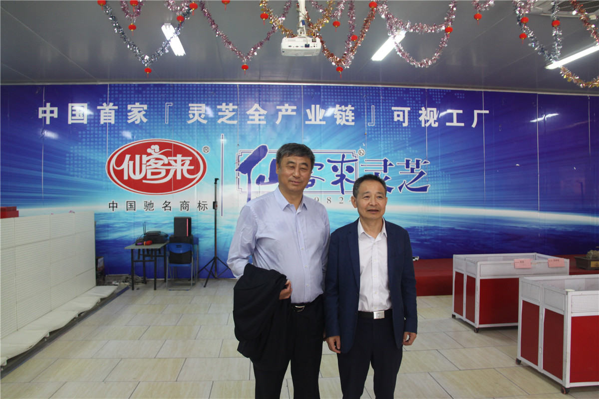 中國靈芝十大品牌|仙客來靈芝|仙客來靈芝破壁孢子粉|仙客來孢子油|仙客來靈芝飲片|仙客來破壁孢子粉|仙客來靈芝中藥飲片|馳名商標(biāo)|m.sinishell.cn|