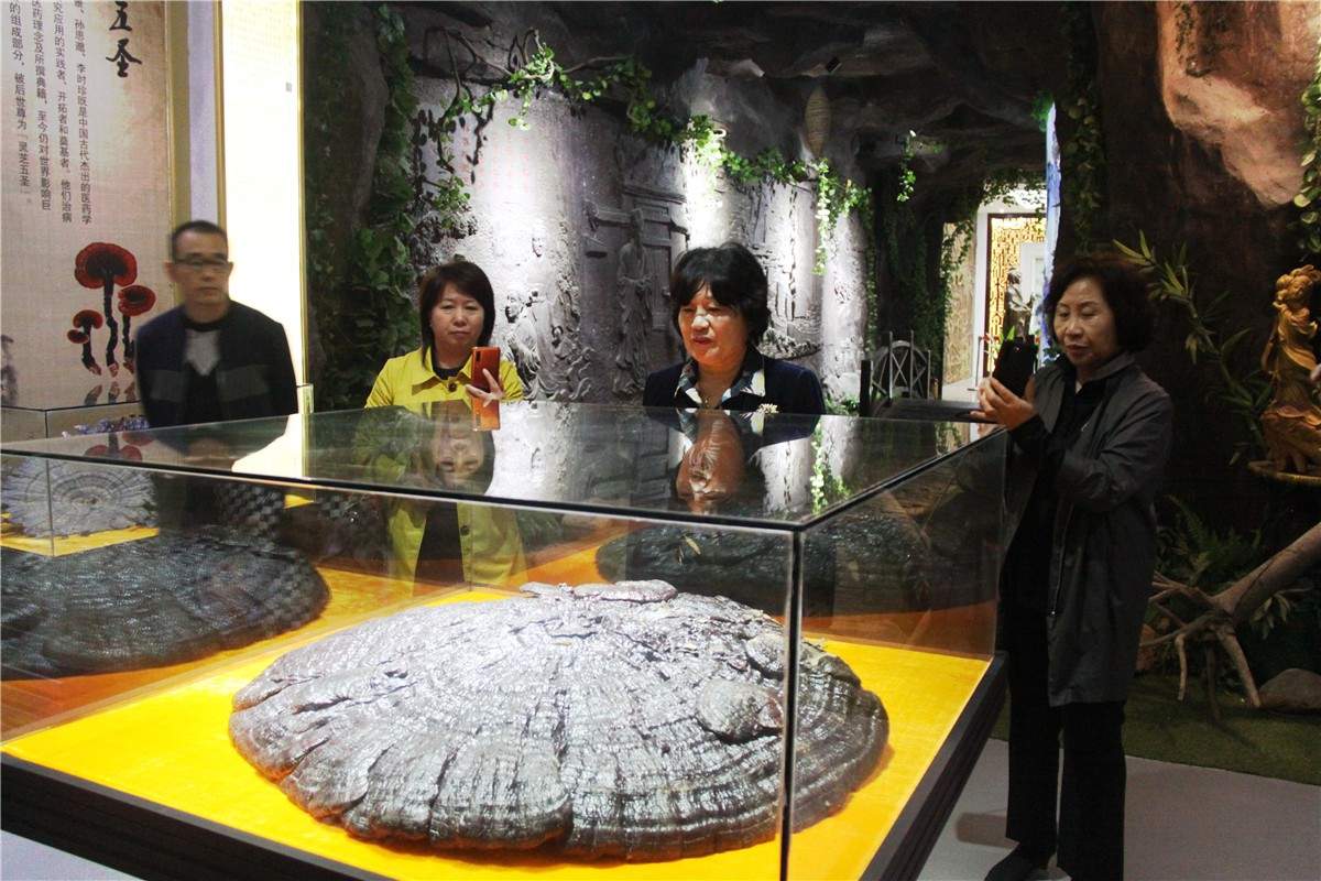 中國靈芝十大品牌|仙客來靈芝|仙客來靈芝破壁孢子粉|仙客來孢子油|仙客來靈芝飲片|仙客來破壁孢子粉|仙客來靈芝中藥飲片|馳名商標(biāo)|m.sinishell.cn|