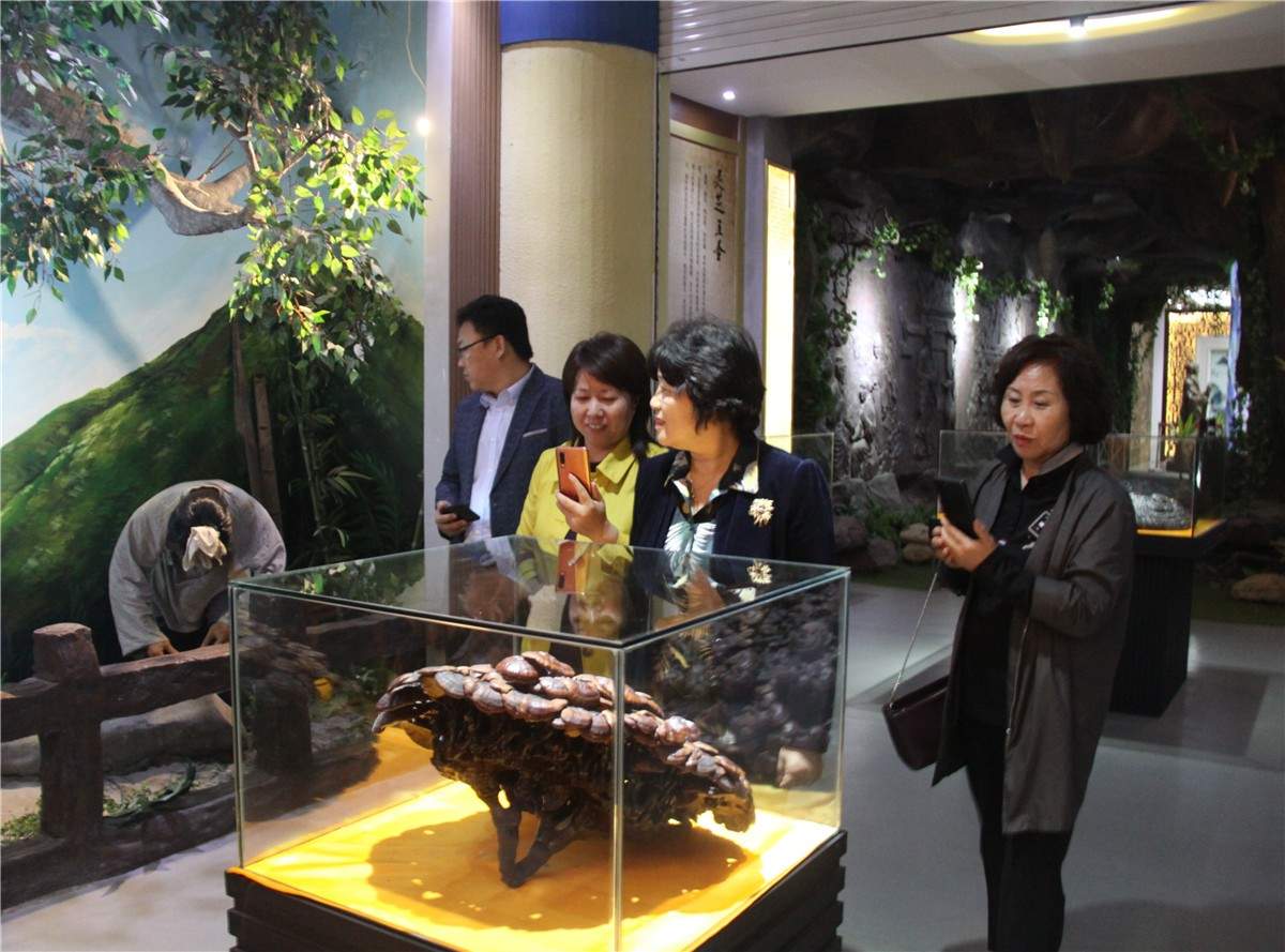 中國靈芝十大品牌|仙客來靈芝|仙客來靈芝破壁孢子粉|仙客來孢子油|仙客來靈芝飲片|仙客來破壁孢子粉|仙客來靈芝中藥飲片|馳名商標(biāo)|m.sinishell.cn|