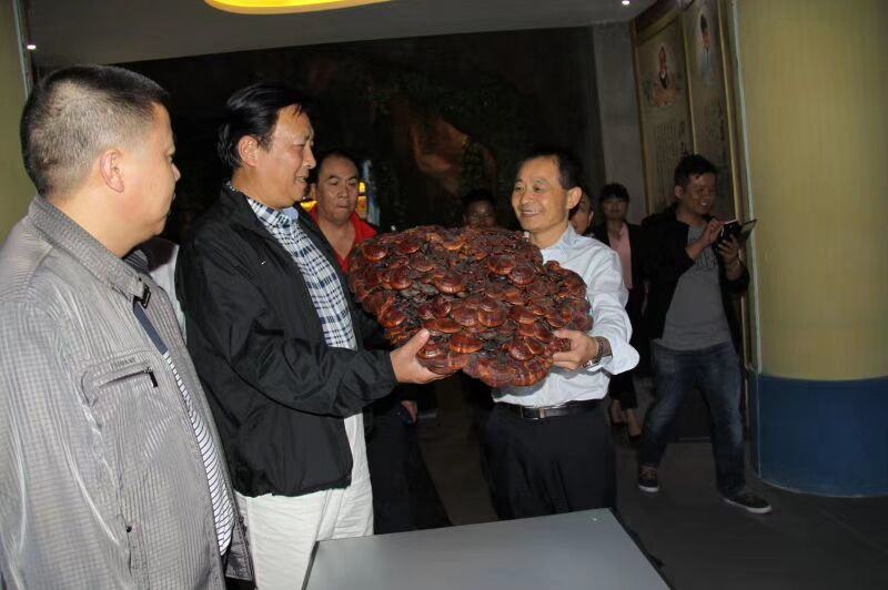 中國靈芝十大品牌|仙客來靈芝|仙客來靈芝破壁孢子粉|仙客來孢子油|仙客來靈芝飲片|仙客來破壁孢子粉|仙客來靈芝中藥飲片|馳名商標|m.sinishell.cn|