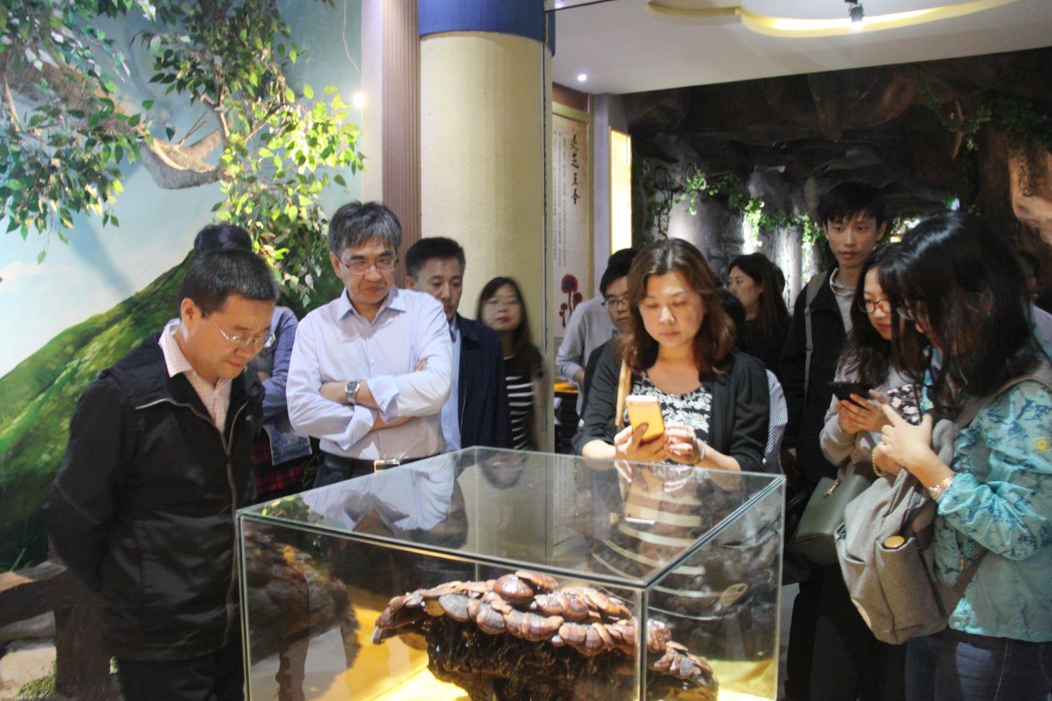 中國(guó)靈芝十大品牌|仙客來(lái)靈芝|仙客來(lái)靈芝破壁孢子粉|仙客來(lái)孢子油|仙客來(lái)靈芝飲片|仙客來(lái)破壁孢子粉|仙客來(lái)靈芝中藥飲片|馳名商標(biāo)|m.sinishell.cn|