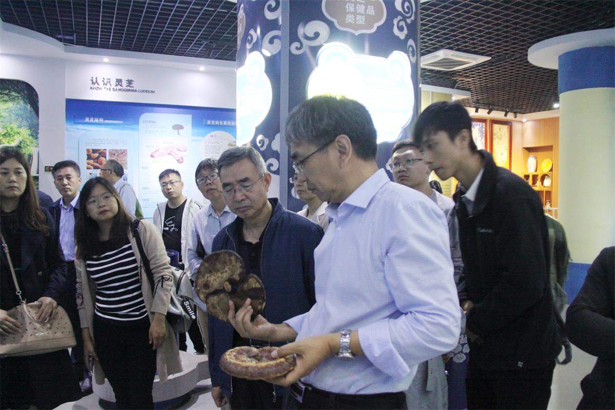 中國(guó)靈芝十大品牌|仙客來(lái)靈芝|仙客來(lái)靈芝破壁孢子粉|仙客來(lái)孢子油|仙客來(lái)靈芝飲片|仙客來(lái)破壁孢子粉|仙客來(lái)靈芝中藥飲片|馳名商標(biāo)|m.sinishell.cn|