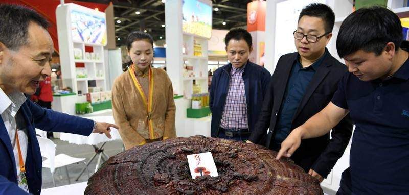 中國(guó)靈芝十大品牌|仙客來(lái)靈芝|仙客來(lái)靈芝破壁孢子粉|仙客來(lái)孢子油|仙客來(lái)靈芝飲片|仙客來(lái)破壁孢子粉|仙客來(lái)靈芝中藥飲片|馳名商標(biāo)|m.sinishell.cn|