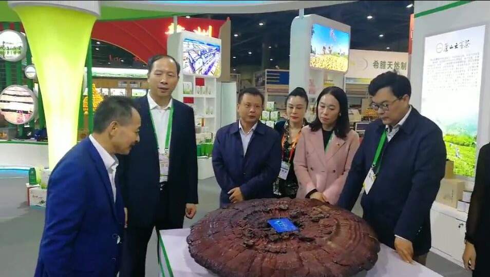 中國(guó)靈芝十大品牌|仙客來(lái)靈芝|仙客來(lái)靈芝破壁孢子粉|仙客來(lái)孢子油|仙客來(lái)靈芝飲片|仙客來(lái)破壁孢子粉|仙客來(lái)靈芝中藥飲片|馳名商標(biāo)|m.sinishell.cn|