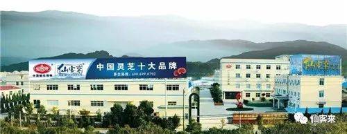 中國(guó)靈芝十大品牌|仙客來(lái)靈芝|仙客來(lái)靈芝破壁孢子粉|仙客來(lái)孢子油|仙客來(lái)靈芝飲片|仙客來(lái)破壁孢子粉|仙客來(lái)靈芝中藥飲片|馳名商標(biāo)|m.sinishell.cn|