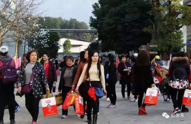 中國靈芝十大品牌|仙客來靈芝|仙客來靈芝破壁孢子粉|仙客來孢子油|仙客來靈芝飲片|仙客來破壁孢子粉|仙客來靈芝中藥飲片|馳名商標(biāo)|m.sinishell.cn|