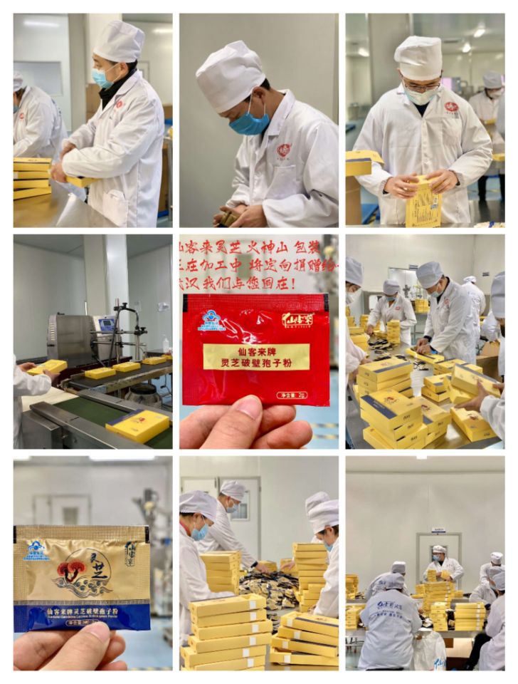 中國靈芝十大品牌|仙客來靈芝|仙客來靈芝破壁孢子粉|仙客來孢子油|仙客來靈芝飲片|仙客來破壁孢子粉|仙客來靈芝中藥飲片|馳名商標|m.sinishell.cn| 中國靈芝十大品牌|仙客來靈芝|仙客來靈芝破壁孢子粉|仙客來孢子油|仙客來靈芝飲片|仙客來破壁孢子粉|仙客來靈芝中藥飲片|馳名商標|m.sinishell.cn|