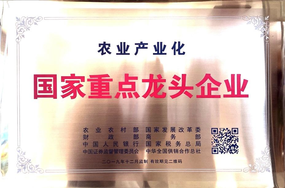 杭州亞運會官方靈芝產(chǎn)品供應(yīng)商|杭州亞運會官方供應(yīng)商|中國靈芝十大品牌|仙客來靈芝|仙客來靈芝破壁孢子粉|仙客來孢子油|仙客來靈芝飲片|仙客來破壁孢子粉|靈芝孢子油|孢子粉|靈芝破壁孢子粉|靈芝|中華老字號