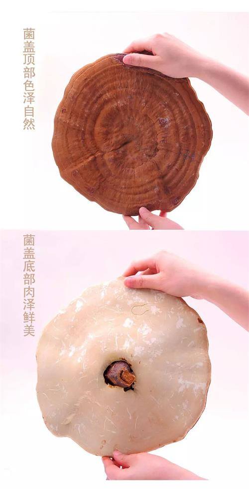 1585705192705522.jpg 85006D5912F08254564947284AC334F2.jpg