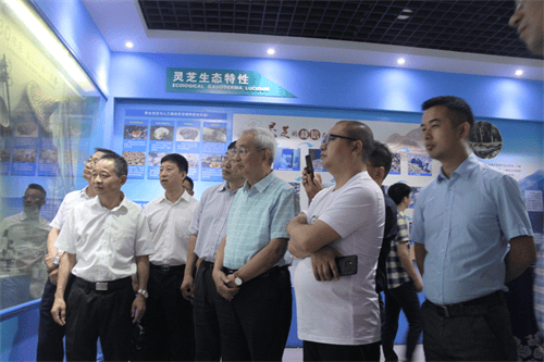 杭州亞運會官方靈芝產(chǎn)品供應(yīng)商|杭州亞運會官方供應(yīng)商|中國靈芝十大品牌|仙客來靈芝|仙客來靈芝破壁孢子粉|仙客來孢子油|仙客來靈芝飲片|仙客來破壁孢子粉|靈芝孢子油|孢子粉|靈芝破壁孢子粉|靈芝|中華老字號 杭州亞運會官方靈芝產(chǎn)品供應(yīng)商|杭州亞運會官方供應(yīng)商|中國靈芝十大品牌|仙客來靈芝|仙客來靈芝破壁孢子粉|仙客來孢子油|仙客來靈芝飲片|仙客來破壁孢子粉|靈芝孢子油|孢子粉|靈芝破壁孢子粉|靈芝|中華老字號