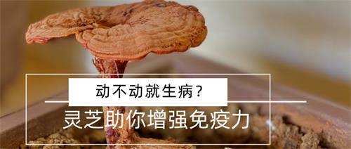 1595582253907768.jpg 默認(rèn)標(biāo)題_公眾號封面首圖_2020-06-18-0 (1).jpg