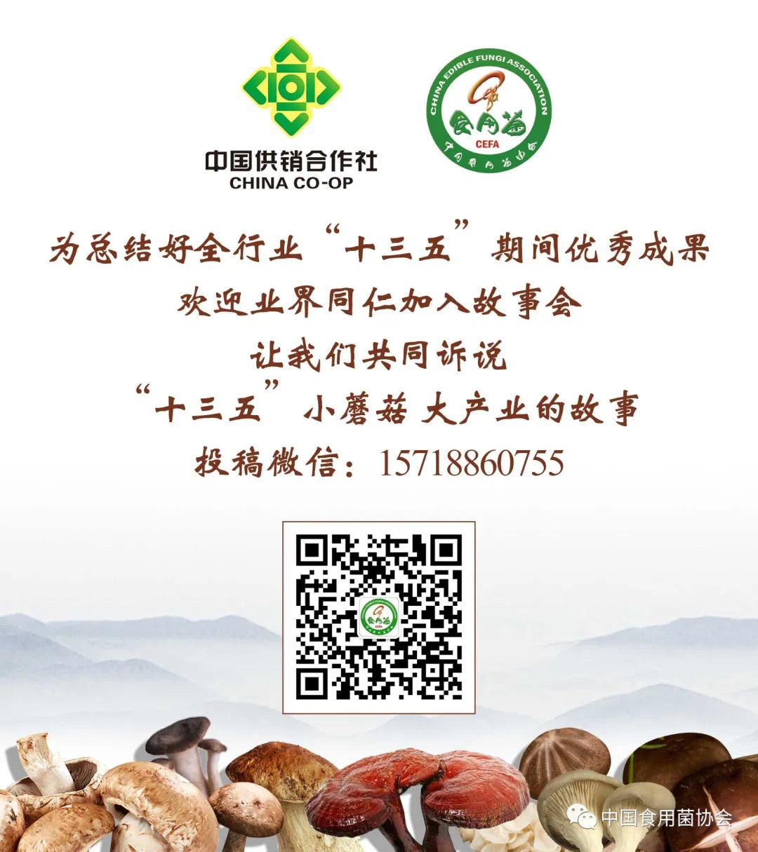 杭州亞運(yùn)會(huì)官方靈芝產(chǎn)品供應(yīng)商|杭州亞運(yùn)會(huì)官方供應(yīng)商|中國靈芝十大品牌|仙客來靈芝|仙客來靈芝破壁孢子粉|仙客來孢子油|仙客來靈芝飲片|仙客來破壁孢子粉|靈芝孢子油|孢子粉|靈芝破壁孢子粉|靈芝|中華老字號(hào) 杭州亞運(yùn)會(huì)官方靈芝產(chǎn)品供應(yīng)商|杭州亞運(yùn)會(huì)官方供應(yīng)商|中國靈芝十大品牌|仙客來靈芝|仙客來靈芝破壁孢子粉|仙客來孢子油|仙客來靈芝飲片|仙客來破壁孢子粉|靈芝孢子油|孢子粉|靈芝破壁孢子粉|靈芝|中華老字號(hào)