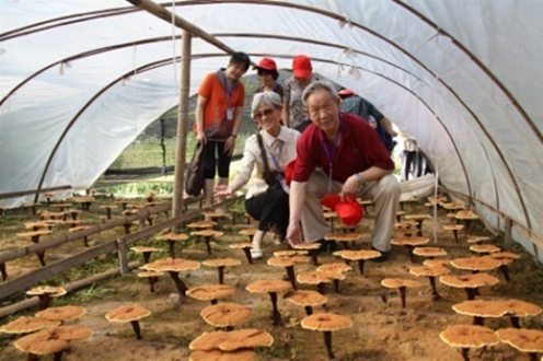 杭州亞運會官方靈芝產(chǎn)品供應商|杭州亞運會官方供應商|中國靈芝十大品牌|仙客來靈芝|仙客來靈芝破壁孢子粉|仙客來孢子油|仙客來靈芝飲片|仙客來破壁孢子粉|靈芝孢子油|孢子粉|靈芝破壁孢子粉|靈芝|中華老字號 杭州亞運會官方靈芝產(chǎn)品供應商|杭州亞運會官方供應商|中國靈芝十大品牌|仙客來靈芝|仙客來靈芝破壁孢子粉|仙客來孢子油|仙客來靈芝飲片|仙客來破壁孢子粉|靈芝孢子油|孢子粉|靈芝破壁孢子粉|靈芝|中華老字號