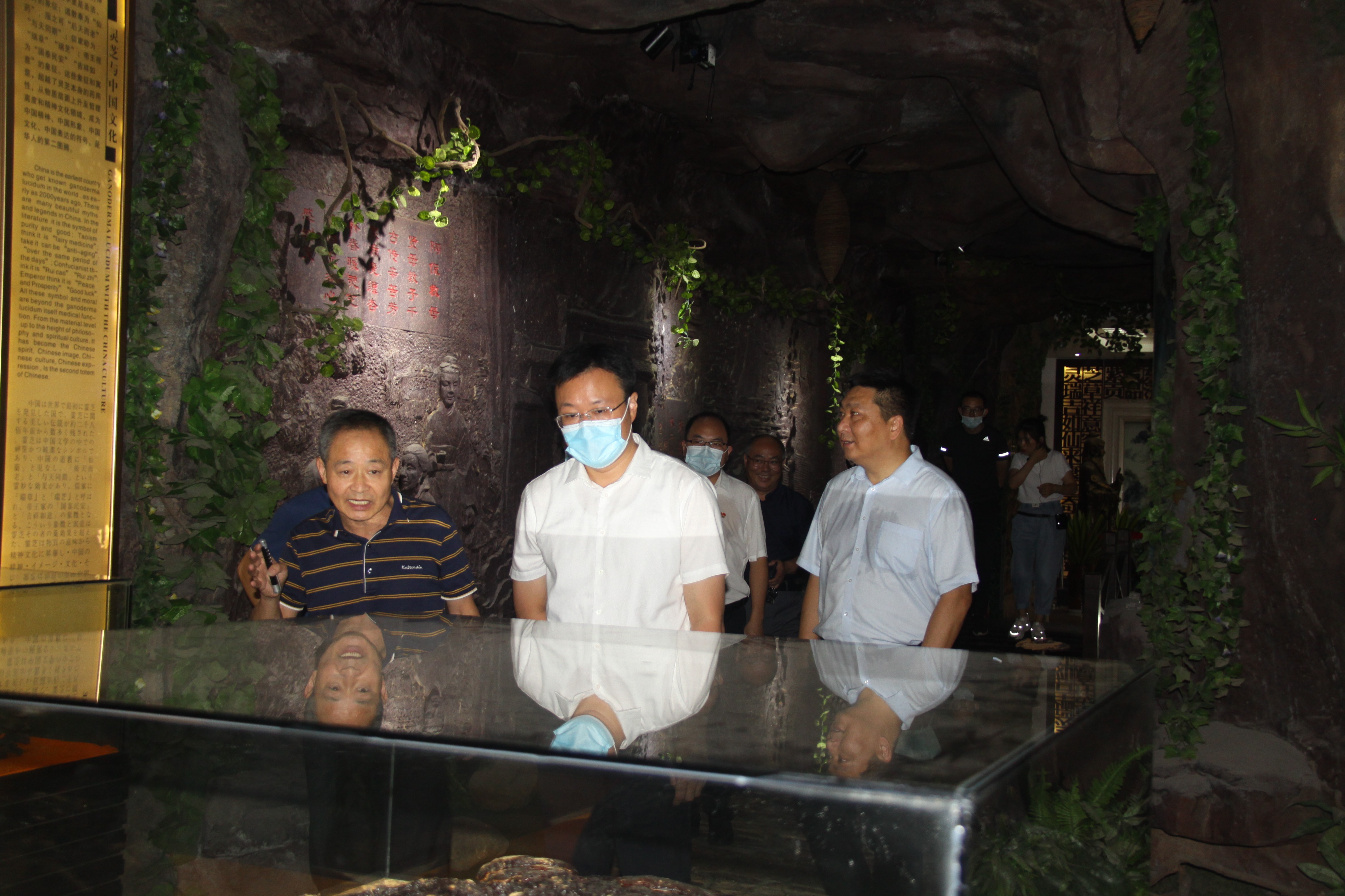 杭州亞運(yùn)會(huì)官方靈芝產(chǎn)品供應(yīng)商|杭州亞運(yùn)會(huì)官方供應(yīng)商|中國靈芝十大品牌|仙客來靈芝|仙客來靈芝破壁孢子粉|仙客來孢子油|仙客來靈芝飲片|仙客來破壁孢子粉|靈芝孢子油|孢子粉|靈芝破壁孢子粉|靈芝|中華老字號(hào) 杭州亞運(yùn)會(huì)官方靈芝產(chǎn)品供應(yīng)商|杭州亞運(yùn)會(huì)官方供應(yīng)商|中國靈芝十大品牌|仙客來靈芝|仙客來靈芝破壁孢子粉|仙客來孢子油|仙客來靈芝飲片|仙客來破壁孢子粉|靈芝孢子油|孢子粉|靈芝破壁孢子粉|靈芝|中華老字號(hào)