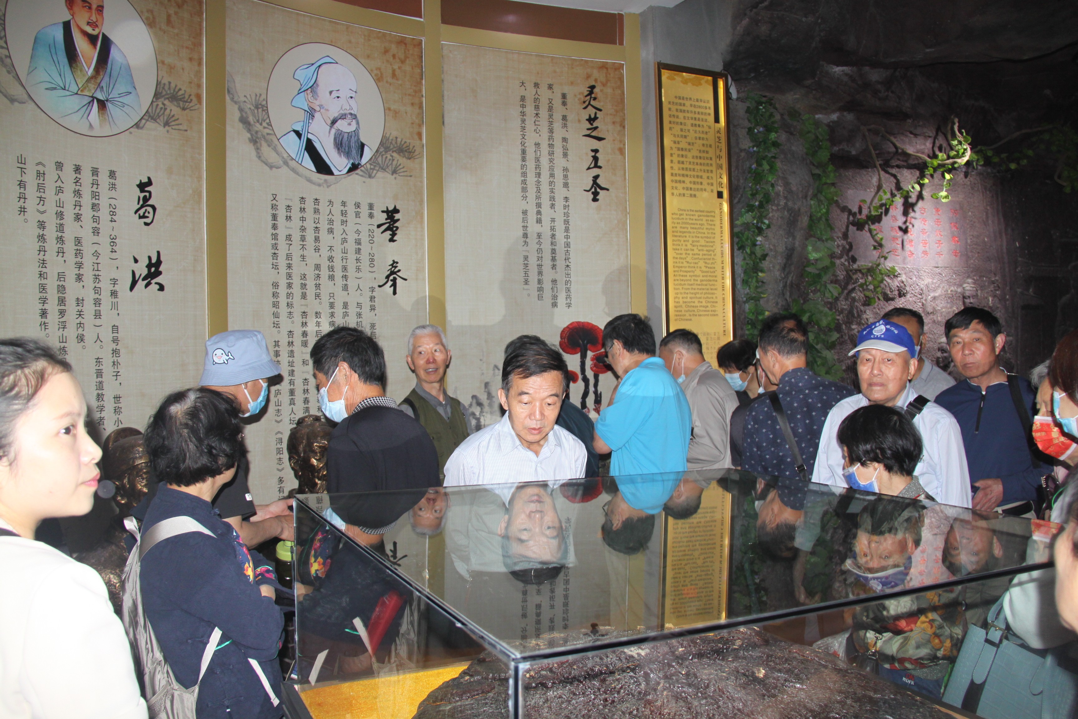 杭州亞運會官方靈芝產(chǎn)品供應商|杭州亞運會官方供應商|中國靈芝十大品牌|仙客來靈芝|仙客來靈芝破壁孢子粉|仙客來孢子油|仙客來靈芝飲片|仙客來破壁孢子粉|靈芝孢子油|孢子粉|靈芝破壁孢子粉|靈芝|中華老字號