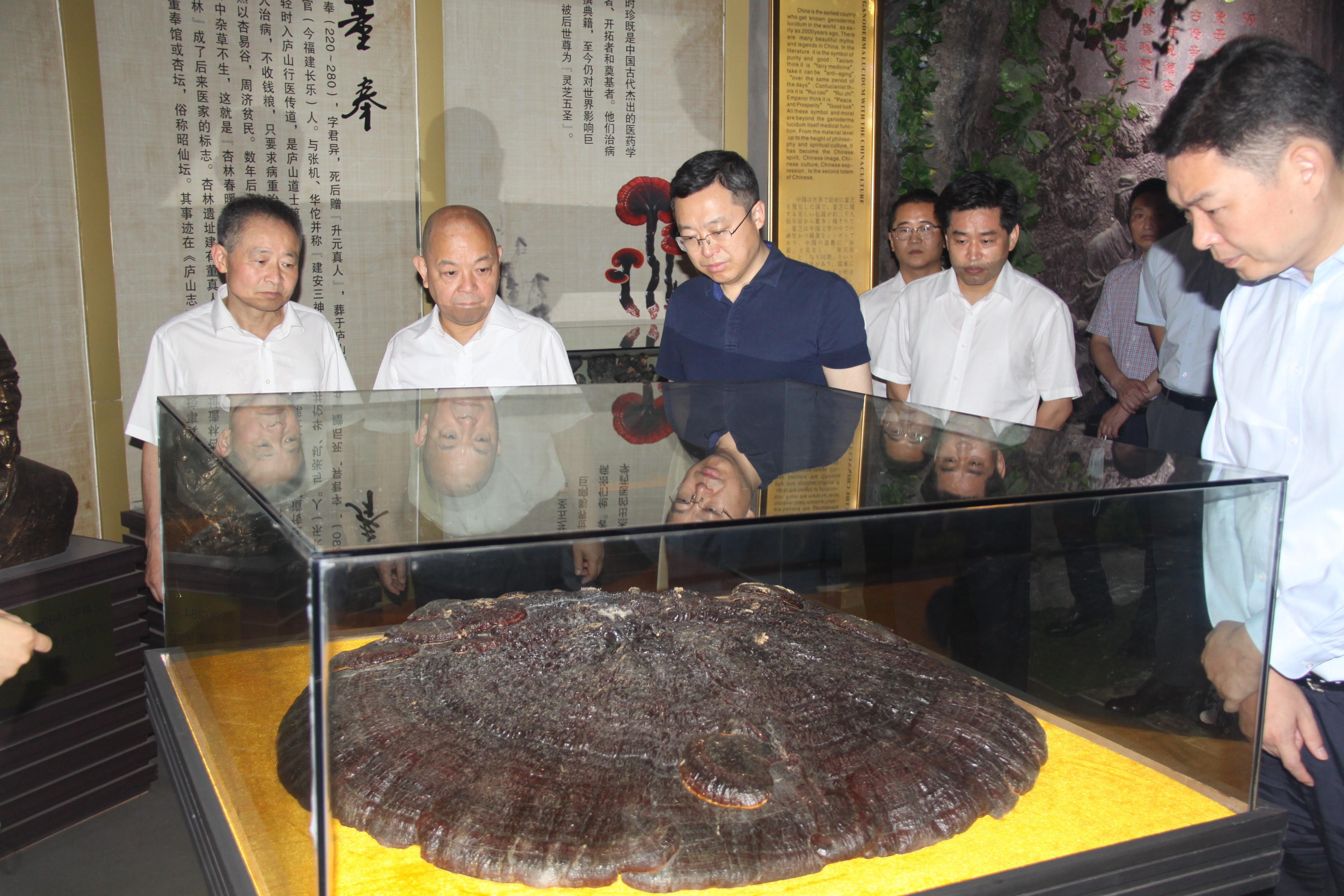 杭州亞運會官方靈芝產(chǎn)品供應(yīng)商|杭州亞運會官方供應(yīng)商|中國靈芝十大品牌|仙客來靈芝|仙客來靈芝破壁孢子粉|仙客來孢子油|仙客來靈芝飲片|仙客來破壁孢子粉|靈芝孢子油|孢子粉|靈芝破壁孢子粉|靈芝|中華老字號