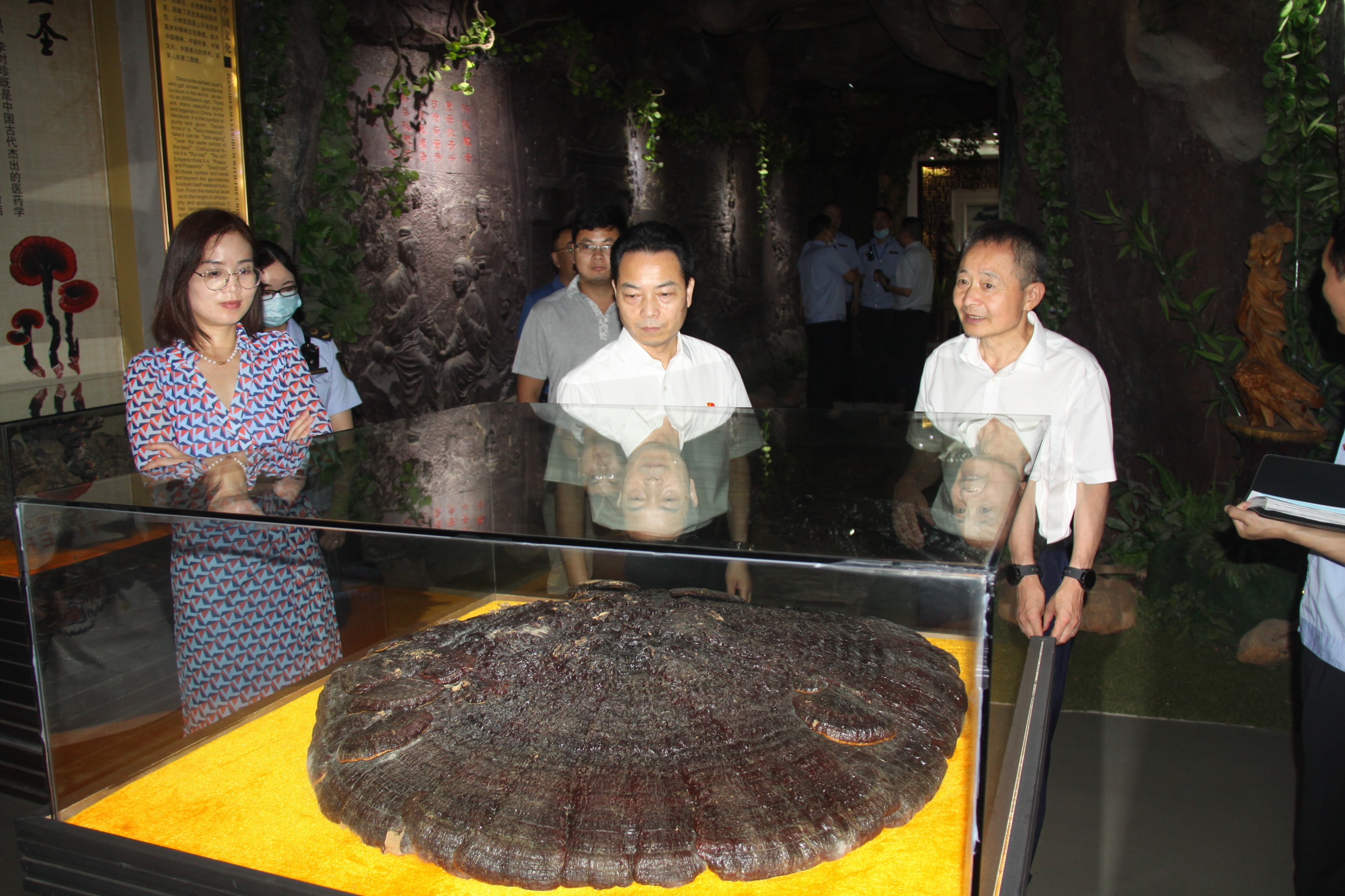 杭州亞運(yùn)會官方靈芝產(chǎn)品供應(yīng)商|杭州亞運(yùn)會官方供應(yīng)商|中國靈芝十大品牌|仙客來靈芝|仙客來靈芝破壁孢子粉|仙客來孢子油|仙客來靈芝飲片|仙客來破壁孢子粉|靈芝孢子油|孢子粉|靈芝破壁孢子粉|靈芝|中華老字號 杭州亞運(yùn)會官方靈芝產(chǎn)品供應(yīng)商|杭州亞運(yùn)會官方供應(yīng)商|中國靈芝十大品牌|仙客來靈芝|仙客來靈芝破壁孢子粉|仙客來孢子油|仙客來靈芝飲片|仙客來破壁孢子粉|靈芝孢子油|孢子粉|靈芝破壁孢子粉|靈芝|中華老字號