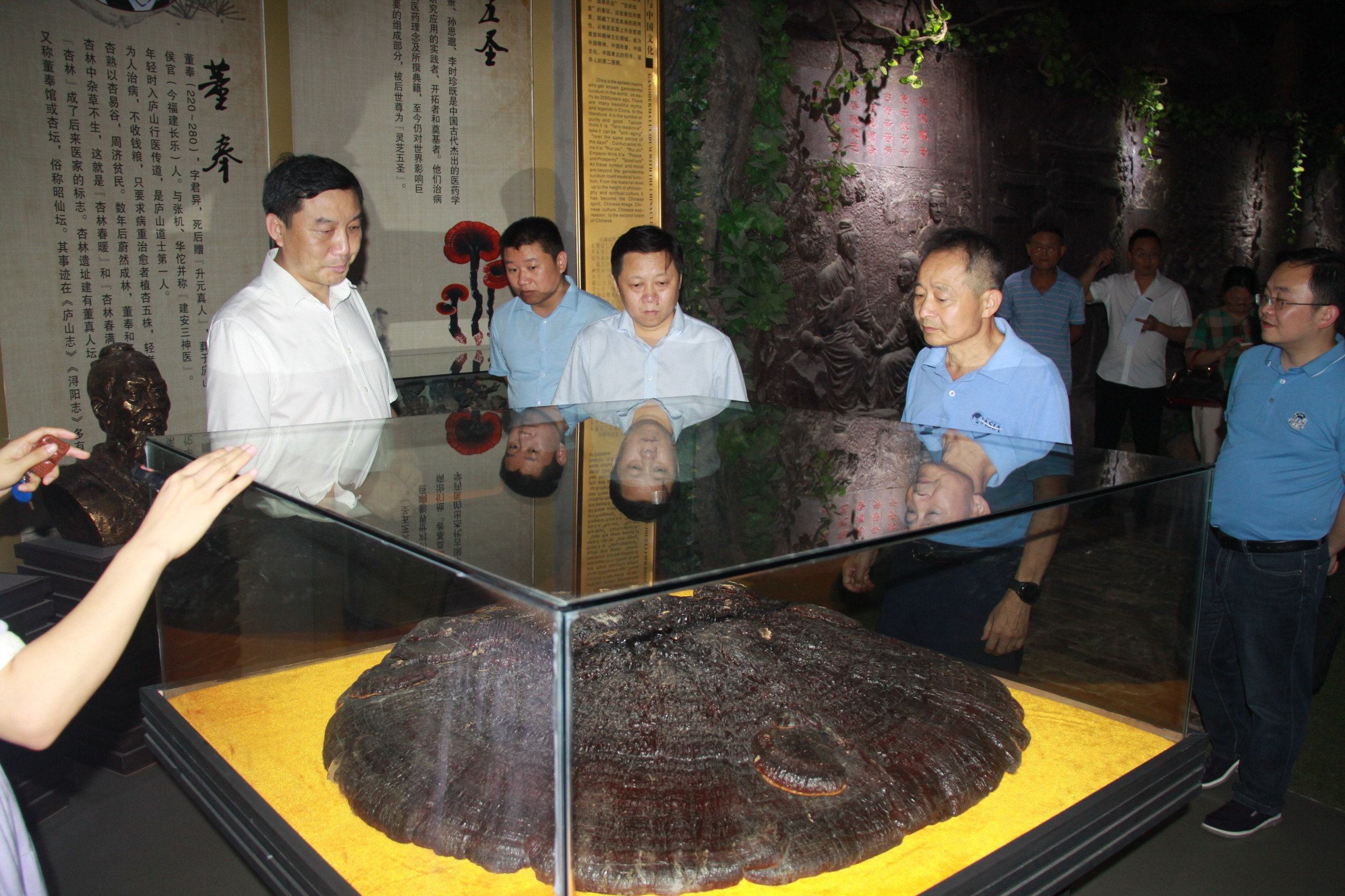 杭州亞運(yùn)會(huì)官方靈芝產(chǎn)品供應(yīng)商|杭州亞運(yùn)會(huì)官方供應(yīng)商|中國靈芝十大品牌|仙客來靈芝|仙客來靈芝破壁孢子粉|仙客來孢子油|仙客來靈芝飲片|仙客來破壁孢子粉|靈芝孢子油|孢子粉|靈芝破壁孢子粉|靈芝|中華老字號(hào)