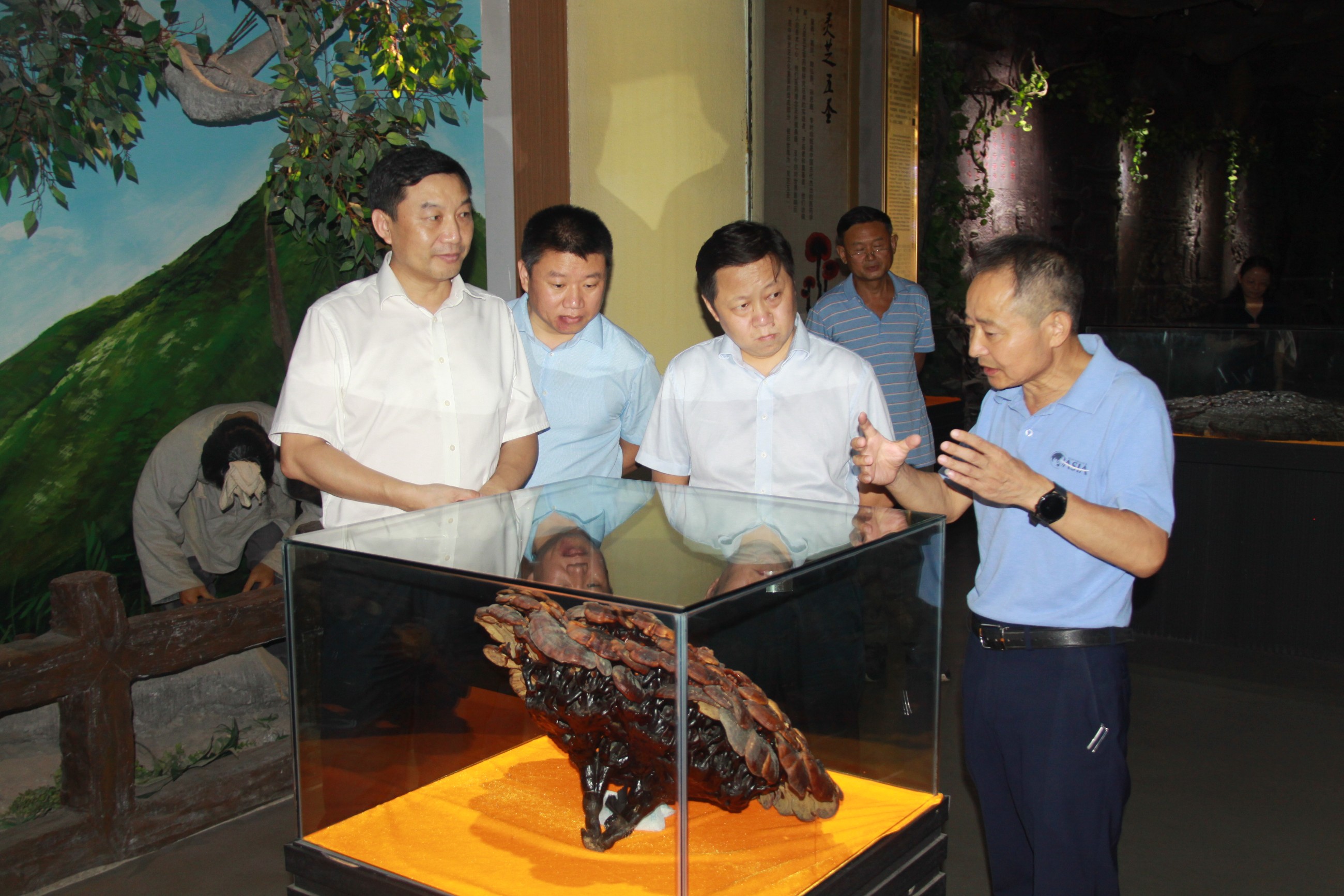 杭州亞運(yùn)會(huì)官方靈芝產(chǎn)品供應(yīng)商|杭州亞運(yùn)會(huì)官方供應(yīng)商|中國靈芝十大品牌|仙客來靈芝|仙客來靈芝破壁孢子粉|仙客來孢子油|仙客來靈芝飲片|仙客來破壁孢子粉|靈芝孢子油|孢子粉|靈芝破壁孢子粉|靈芝|中華老字號(hào)