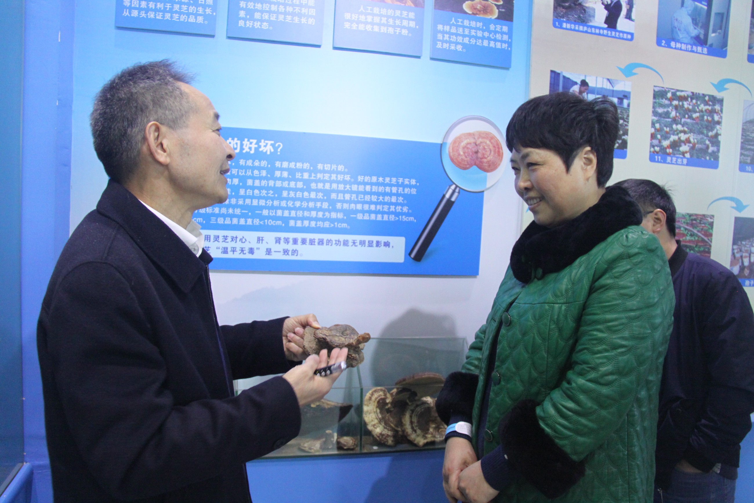 杭州亞運會官方靈芝產(chǎn)品供應商|杭州亞運會官方供應商|中國靈芝十大品牌|仙客來靈芝|仙客來靈芝破壁孢子粉|仙客來孢子油|仙客來靈芝飲片|仙客來破壁孢子粉|靈芝孢子油|孢子粉|靈芝破壁孢子粉|靈芝|中華老字號