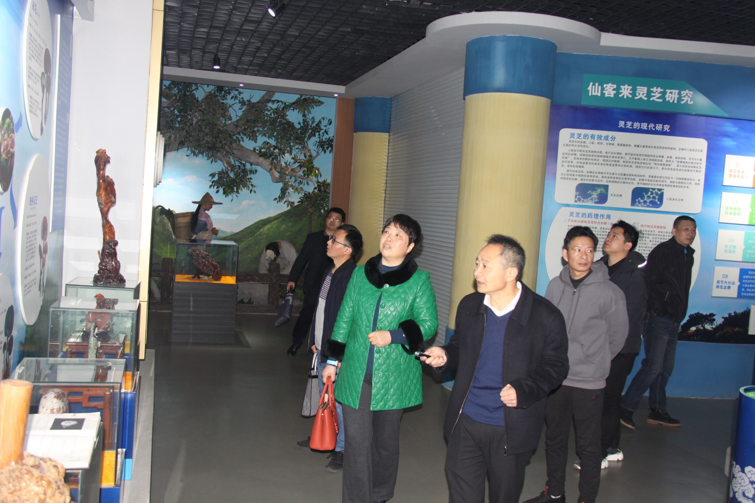 杭州亞運會官方靈芝產(chǎn)品供應商|杭州亞運會官方供應商|中國靈芝十大品牌|仙客來靈芝|仙客來靈芝破壁孢子粉|仙客來孢子油|仙客來靈芝飲片|仙客來破壁孢子粉|靈芝孢子油|孢子粉|靈芝破壁孢子粉|靈芝|中華老字號