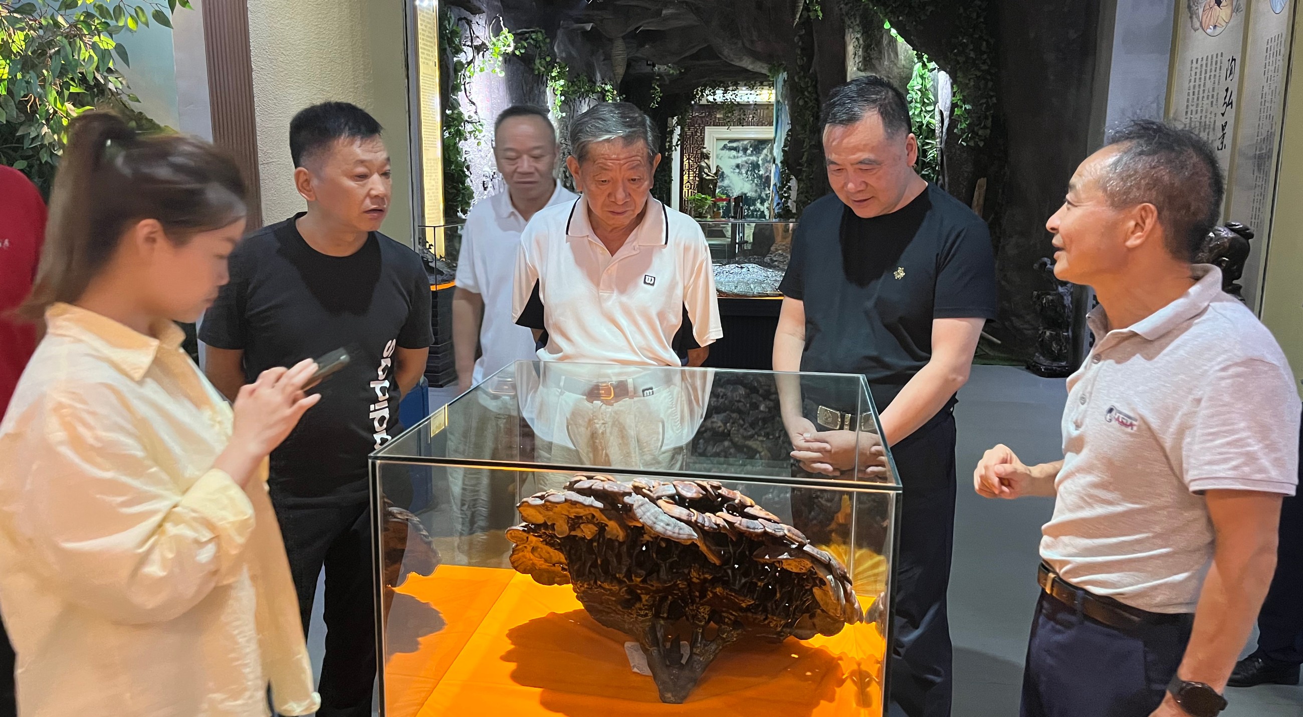 杭州亞運(yùn)會(huì)官方靈芝產(chǎn)品供應(yīng)商|杭州亞運(yùn)會(huì)官方供應(yīng)商|中國(guó)靈芝十大品牌|仙客來(lái)靈芝|仙客來(lái)靈芝破壁孢子粉|仙客來(lái)孢子油|仙客來(lái)靈芝飲片|仙客來(lái)破壁孢子粉|靈芝孢子油|孢子粉|靈芝破壁孢子粉|靈芝|中華老字號(hào)