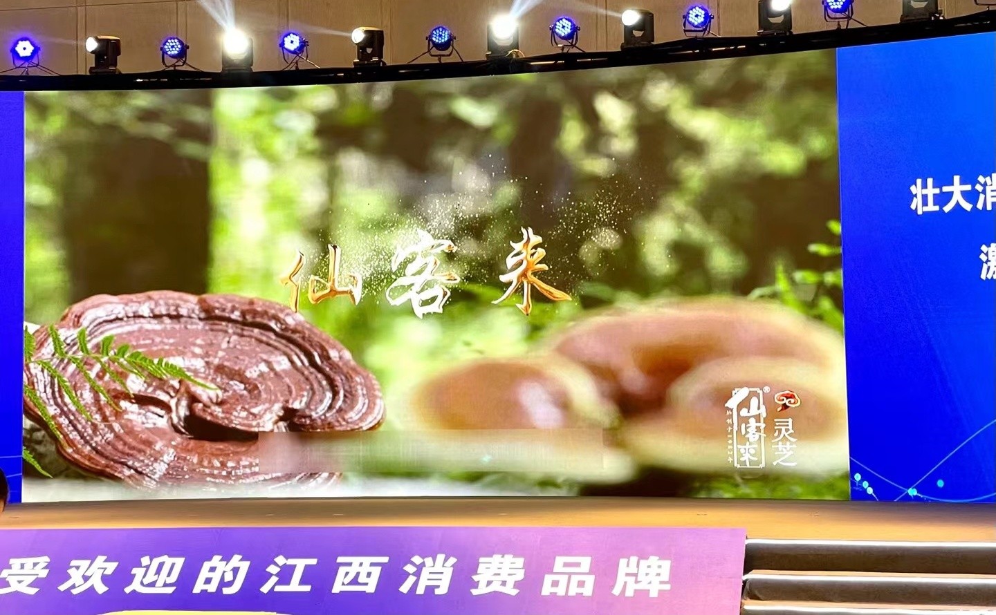 杭州亞運會官方靈芝產(chǎn)品供應商|杭州亞運會官方供應商|中國靈芝十大品牌|仙客來靈芝|仙客來靈芝破壁孢子粉|仙客來孢子油|仙客來靈芝飲片|仙客來破壁孢子粉|靈芝孢子油|孢子粉|靈芝破壁孢子粉|靈芝|中華老字號