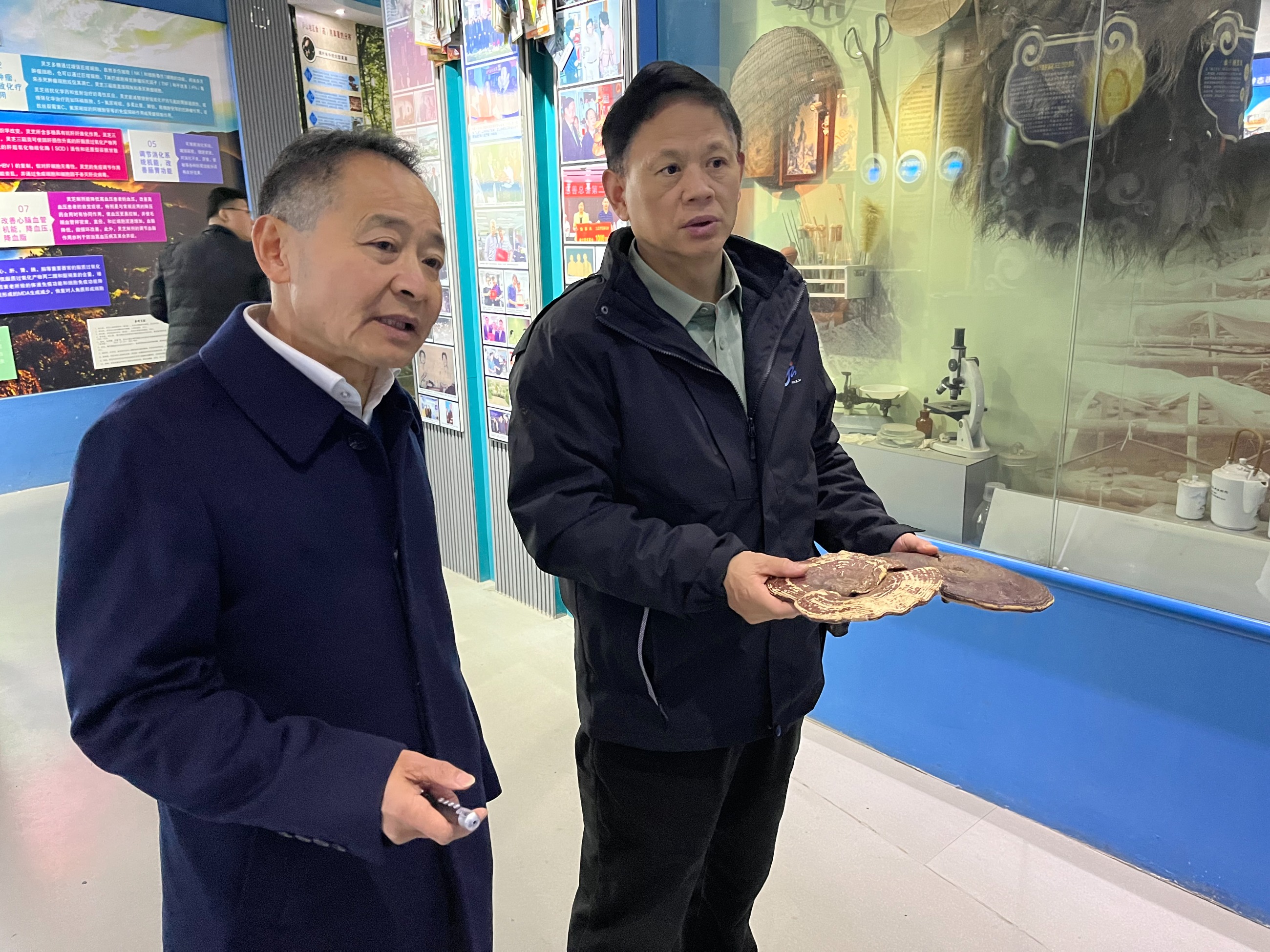 杭州亞運(yùn)會官方靈芝產(chǎn)品供應(yīng)商|杭州亞運(yùn)會官方供應(yīng)商|中國靈芝十大品牌|仙客來靈芝|仙客來靈芝破壁孢子粉|仙客來孢子油|仙客來靈芝飲片|仙客來破壁孢子粉|靈芝孢子油|孢子粉|靈芝破壁孢子粉|靈芝|中華老字號