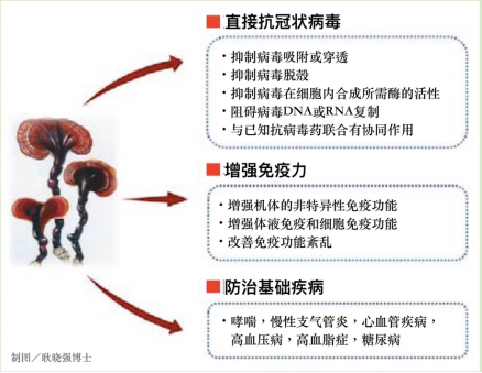 杭州亞運會官方靈芝產(chǎn)品供應商|杭州亞運會官方供應商|中國靈芝十大品牌|仙客來靈芝|仙客來靈芝破壁孢子粉|仙客來孢子油|仙客來靈芝飲片|仙客來破壁孢子粉|靈芝孢子油|孢子粉|靈芝破壁孢子粉|靈芝|中華老字號