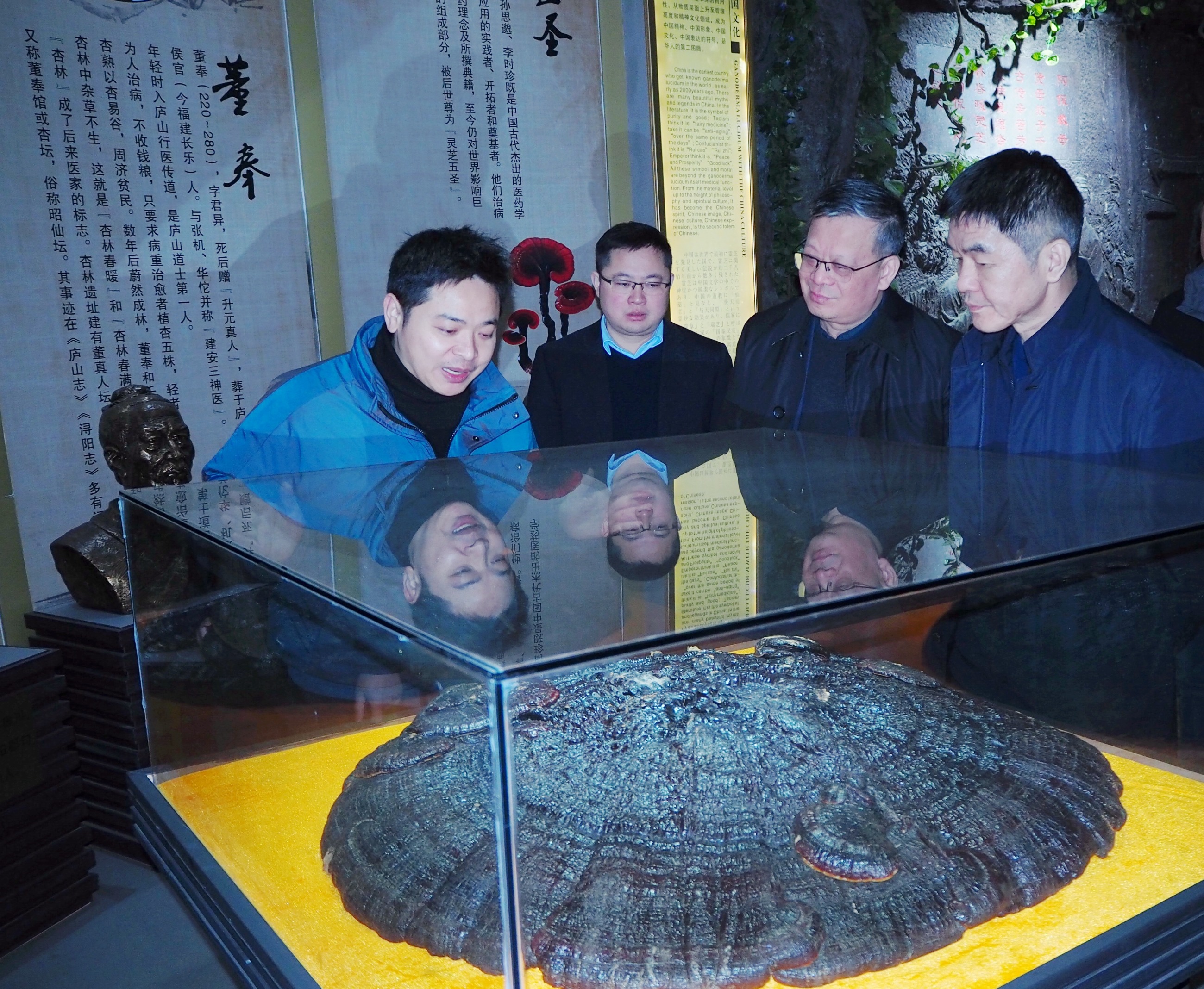 杭州亞運(yùn)會(huì)官方靈芝產(chǎn)品供應(yīng)商|杭州亞運(yùn)會(huì)官方供應(yīng)商|中國靈芝十大品牌|仙客來靈芝|仙客來靈芝破壁孢子粉|仙客來孢子油|仙客來靈芝飲片|仙客來破壁孢子粉|靈芝孢子油|孢子粉|靈芝破壁孢子粉|靈芝|中華老字號(hào)