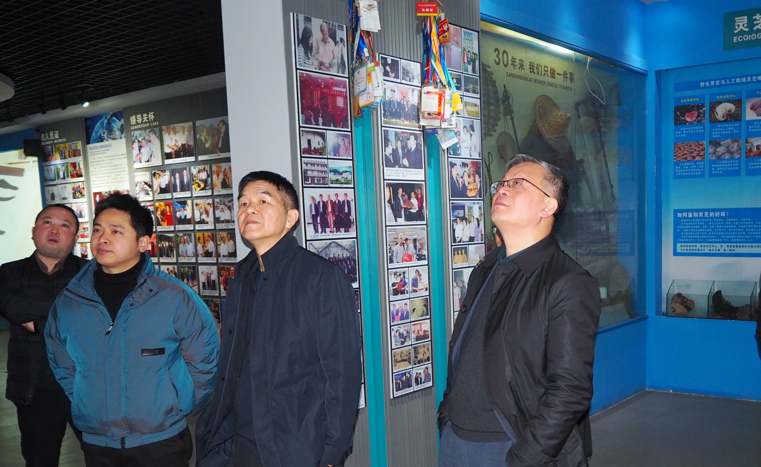 杭州亞運(yùn)會(huì)官方靈芝產(chǎn)品供應(yīng)商|杭州亞運(yùn)會(huì)官方供應(yīng)商|中國靈芝十大品牌|仙客來靈芝|仙客來靈芝破壁孢子粉|仙客來孢子油|仙客來靈芝飲片|仙客來破壁孢子粉|靈芝孢子油|孢子粉|靈芝破壁孢子粉|靈芝|中華老字號(hào)