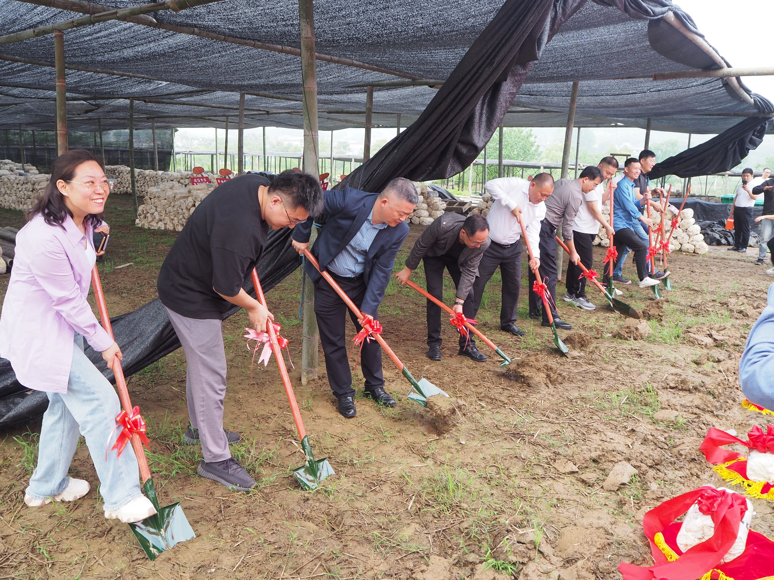 杭州亞運(yùn)會(huì)官方靈芝產(chǎn)品供應(yīng)商|杭州亞運(yùn)會(huì)官方供應(yīng)商|中國(guó)靈芝十大品牌|仙客來(lái)靈芝|仙客來(lái)靈芝破壁孢子粉|仙客來(lái)孢子油|仙客來(lái)靈芝飲片|仙客來(lái)破壁孢子粉|靈芝孢子油|孢子粉|靈芝破壁孢子粉|靈芝|中華老字號(hào) 杭州亞運(yùn)會(huì)官方靈芝產(chǎn)品供應(yīng)商|杭州亞運(yùn)會(huì)官方供應(yīng)商|中國(guó)靈芝十大品牌|仙客來(lái)靈芝|仙客來(lái)靈芝破壁孢子粉|仙客來(lái)孢子油|仙客來(lái)靈芝飲片|仙客來(lái)破壁孢子粉|靈芝孢子油|孢子粉|靈芝破壁孢子粉|靈芝|中華老字號(hào)