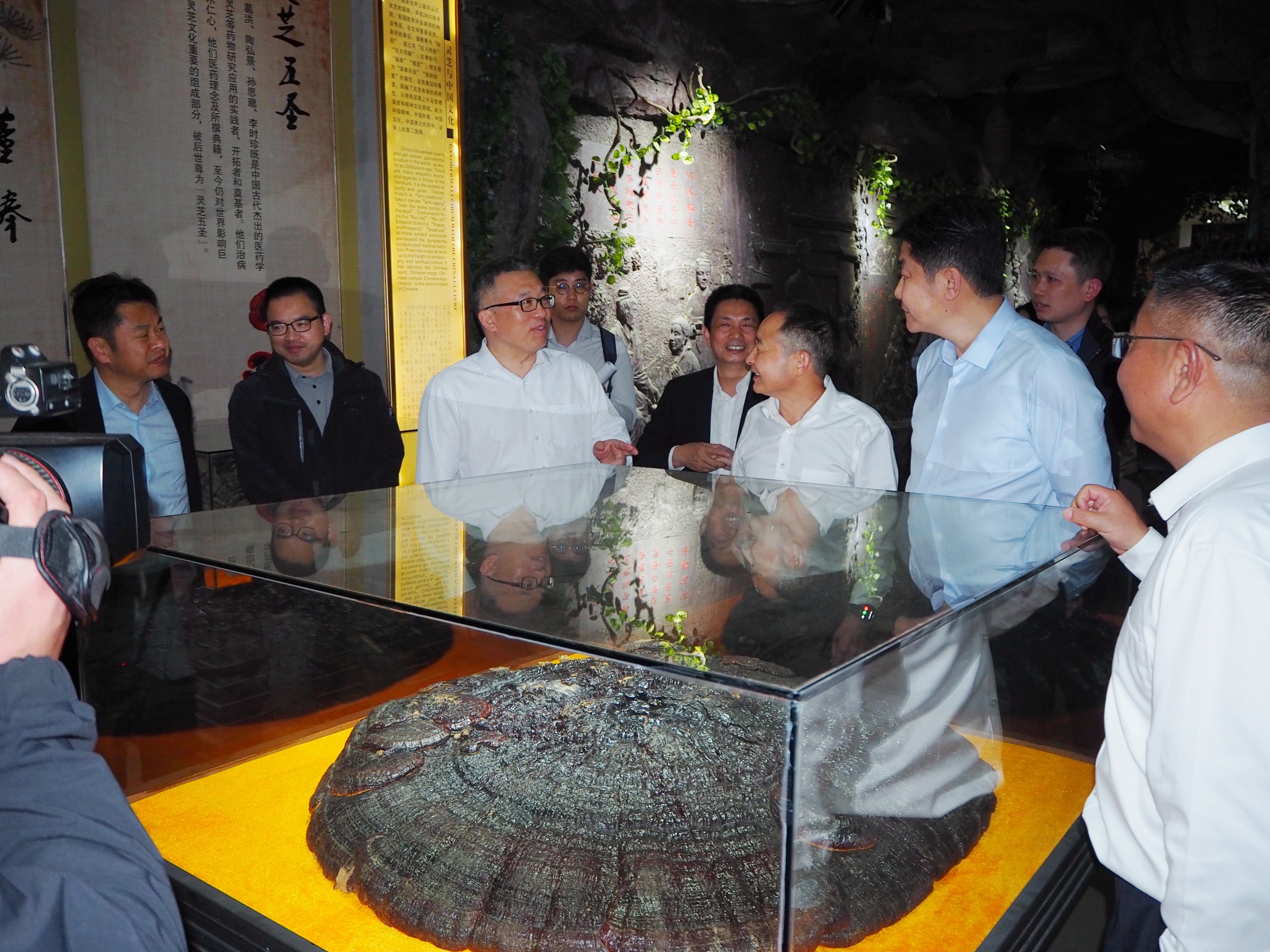 杭州亞運(yùn)會官方靈芝產(chǎn)品供應(yīng)商|杭州亞運(yùn)會官方供應(yīng)商|中國靈芝十大品牌|仙客來靈芝|仙客來靈芝破壁孢子粉|仙客來孢子油|仙客來靈芝飲片|仙客來破壁孢子粉|靈芝孢子油|孢子粉|靈芝破壁孢子粉|靈芝|中華老字號