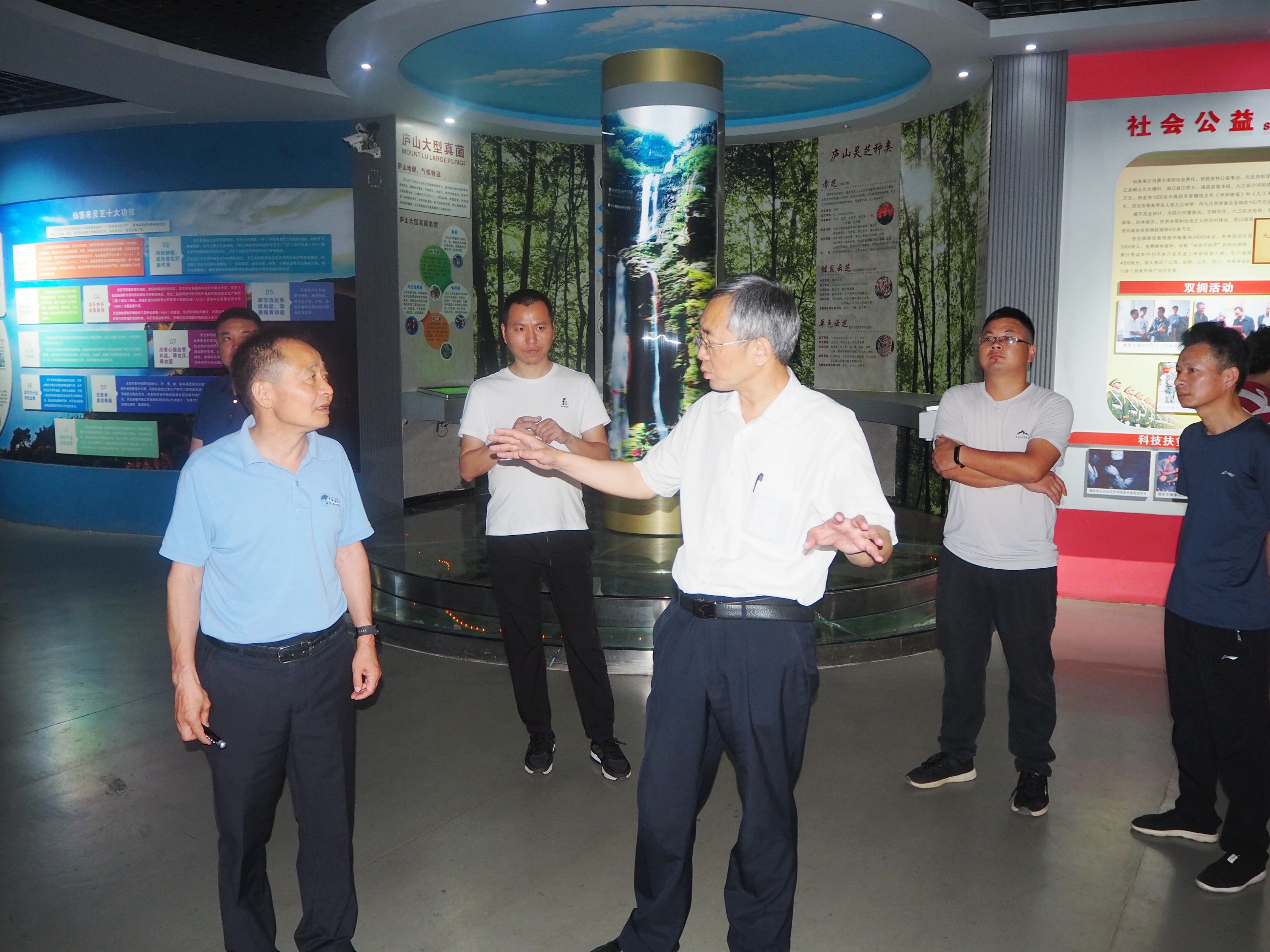 杭州亞運會官方靈芝產(chǎn)品供應商|杭州亞運會官方供應商|中國靈芝十大品牌|仙客來靈芝|仙客來靈芝破壁孢子粉|仙客來孢子油|仙客來靈芝飲片|仙客來破壁孢子粉|靈芝孢子油|孢子粉|靈芝破壁孢子粉|靈芝|中華老字號