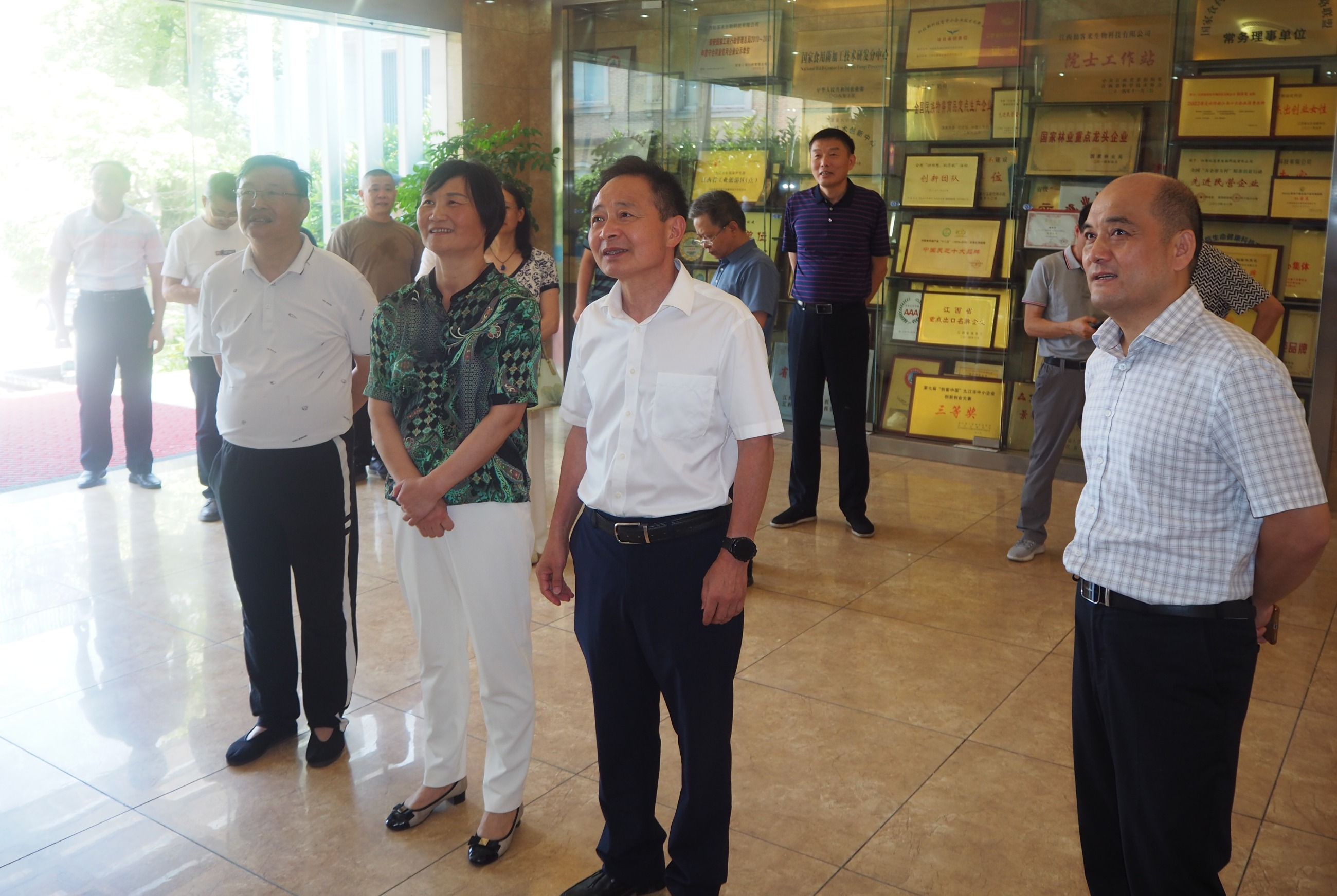 杭州亞運(yùn)會(huì)官方靈芝產(chǎn)品供應(yīng)商|杭州亞運(yùn)會(huì)官方供應(yīng)商|中國靈芝十大品牌|仙客來靈芝|仙客來靈芝破壁孢子粉|仙客來孢子油|仙客來靈芝飲片|仙客來破壁孢子粉|靈芝孢子油|孢子粉|靈芝破壁孢子粉|靈芝|中華老字號