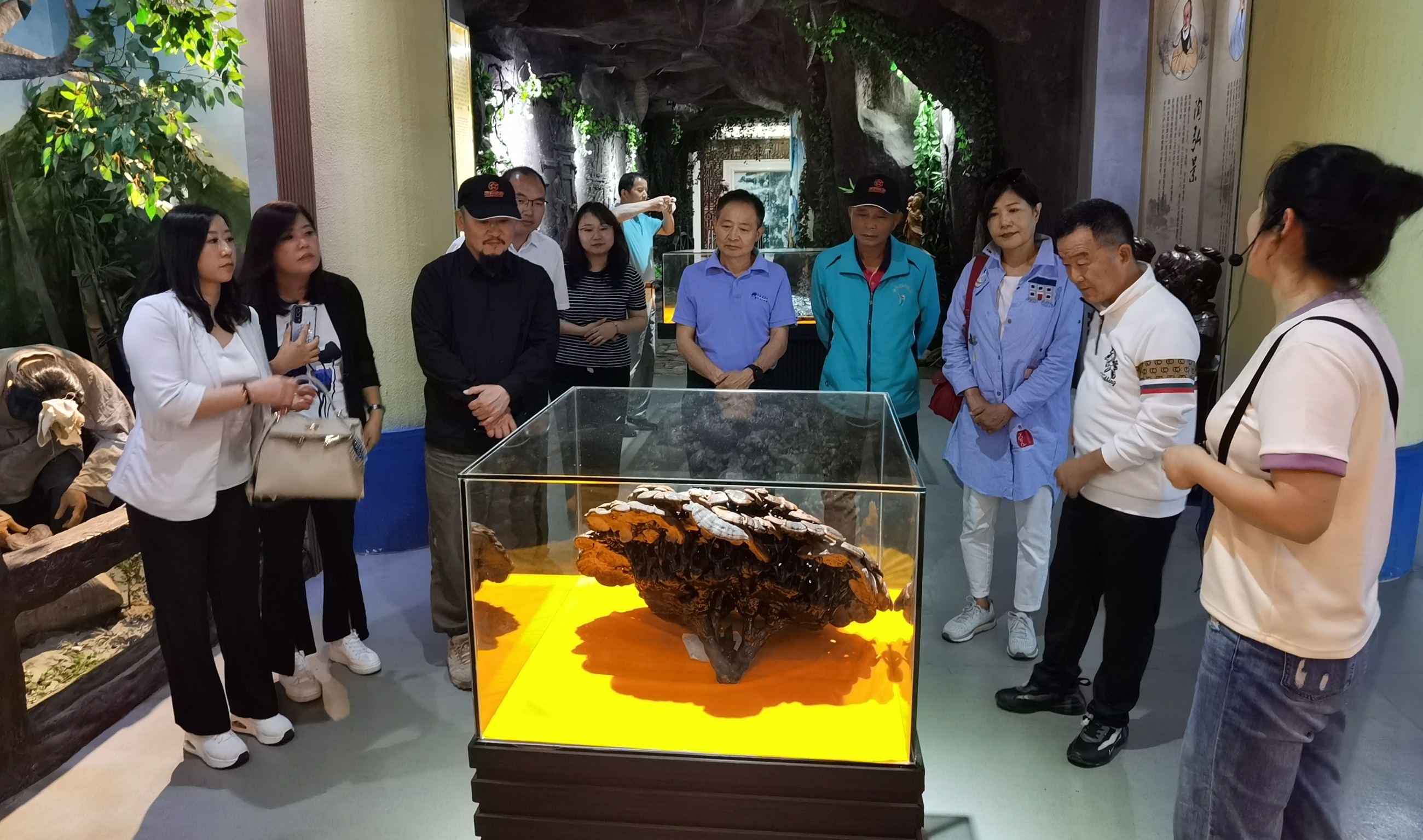 杭州亞運(yùn)會(huì)官方靈芝產(chǎn)品供應(yīng)商|杭州亞運(yùn)會(huì)官方供應(yīng)商|中國靈芝十大品牌|仙客來靈芝|仙客來靈芝破壁孢子粉|仙客來孢子油|仙客來靈芝飲片|仙客來破壁孢子粉|靈芝孢子油|孢子粉|靈芝破壁孢子粉|靈芝|中華老字號(hào)