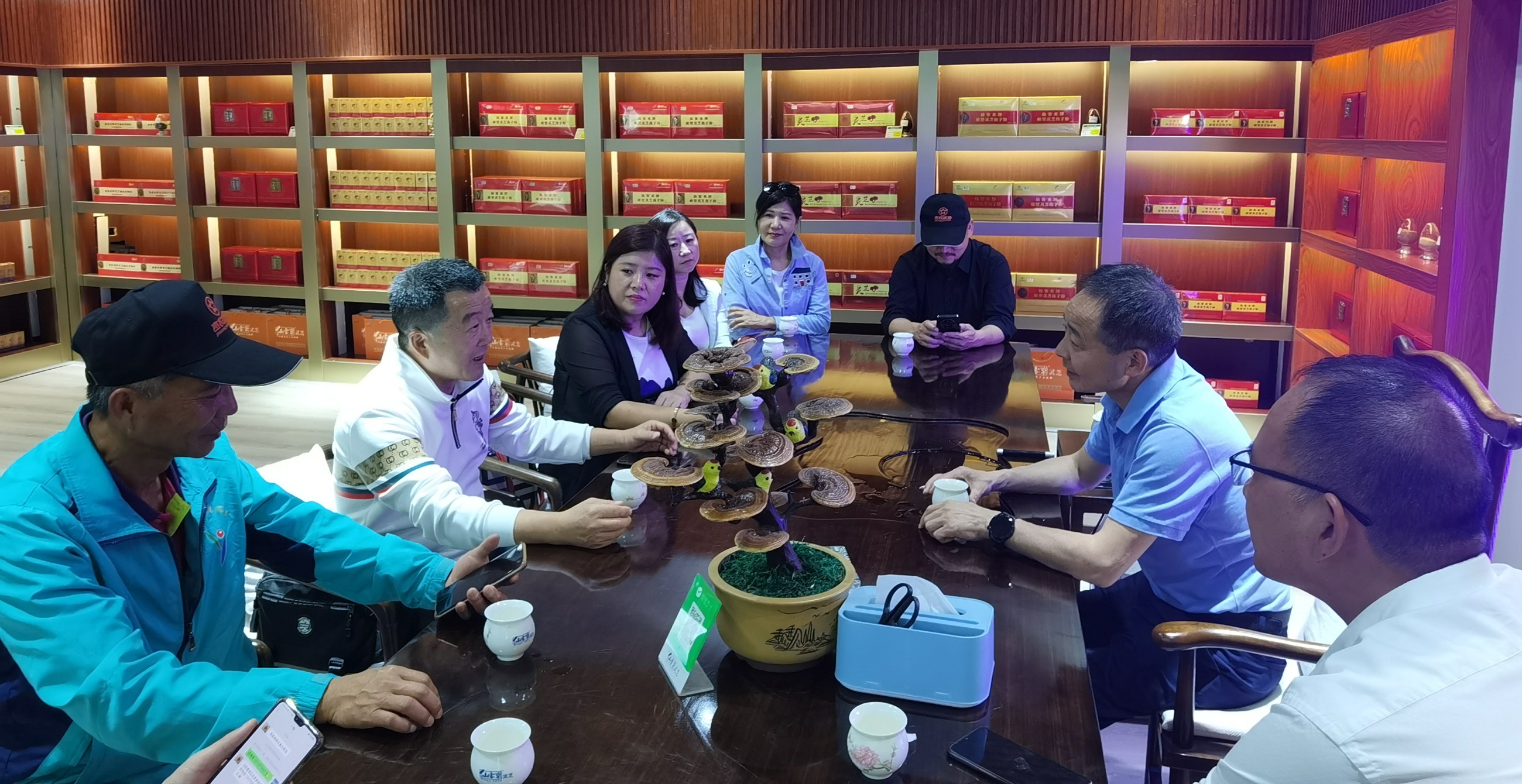 杭州亞運(yùn)會(huì)官方靈芝產(chǎn)品供應(yīng)商|杭州亞運(yùn)會(huì)官方供應(yīng)商|中國靈芝十大品牌|仙客來靈芝|仙客來靈芝破壁孢子粉|仙客來孢子油|仙客來靈芝飲片|仙客來破壁孢子粉|靈芝孢子油|孢子粉|靈芝破壁孢子粉|靈芝|中華老字號(hào)