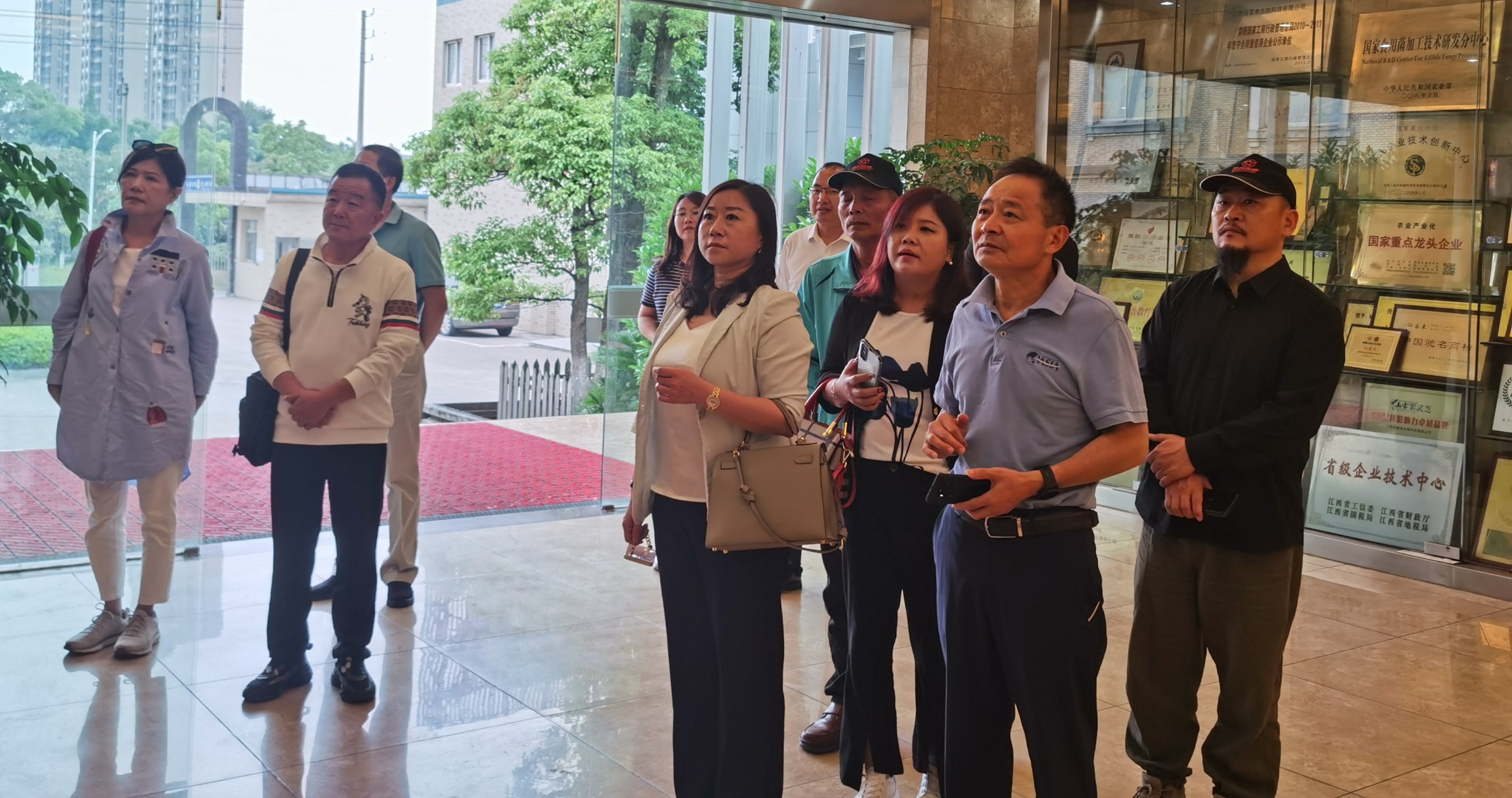 杭州亞運(yùn)會(huì)官方靈芝產(chǎn)品供應(yīng)商|杭州亞運(yùn)會(huì)官方供應(yīng)商|中國靈芝十大品牌|仙客來靈芝|仙客來靈芝破壁孢子粉|仙客來孢子油|仙客來靈芝飲片|仙客來破壁孢子粉|靈芝孢子油|孢子粉|靈芝破壁孢子粉|靈芝|中華老字號(hào)