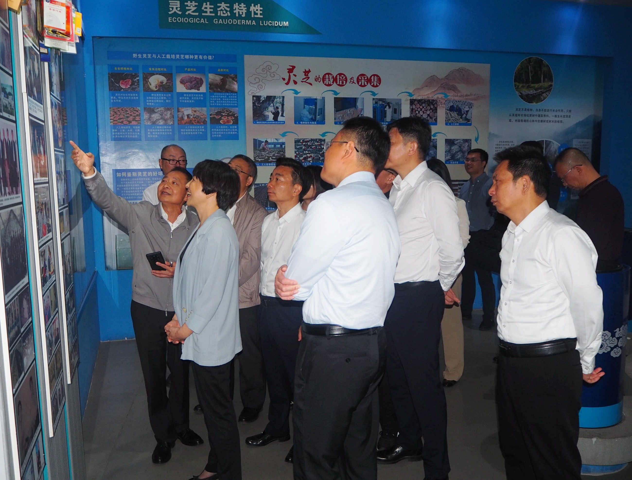 杭州亞運(yùn)會(huì)官方靈芝產(chǎn)品供應(yīng)商|杭州亞運(yùn)會(huì)官方供應(yīng)商|中國(guó)靈芝十大品牌|仙客來靈芝|仙客來靈芝破壁孢子粉|仙客來孢子油|仙客來靈芝飲片|仙客來破壁孢子粉|靈芝孢子油|孢子粉|靈芝破壁孢子粉|靈芝|中華老字號(hào) 杭州亞運(yùn)會(huì)官方靈芝產(chǎn)品供應(yīng)商|杭州亞運(yùn)會(huì)官方供應(yīng)商|中國(guó)靈芝十大品牌|仙客來靈芝|仙客來靈芝破壁孢子粉|仙客來孢子油|仙客來靈芝飲片|仙客來破壁孢子粉|靈芝孢子油|孢子粉|靈芝破壁孢子粉|靈芝|中華老字號(hào)