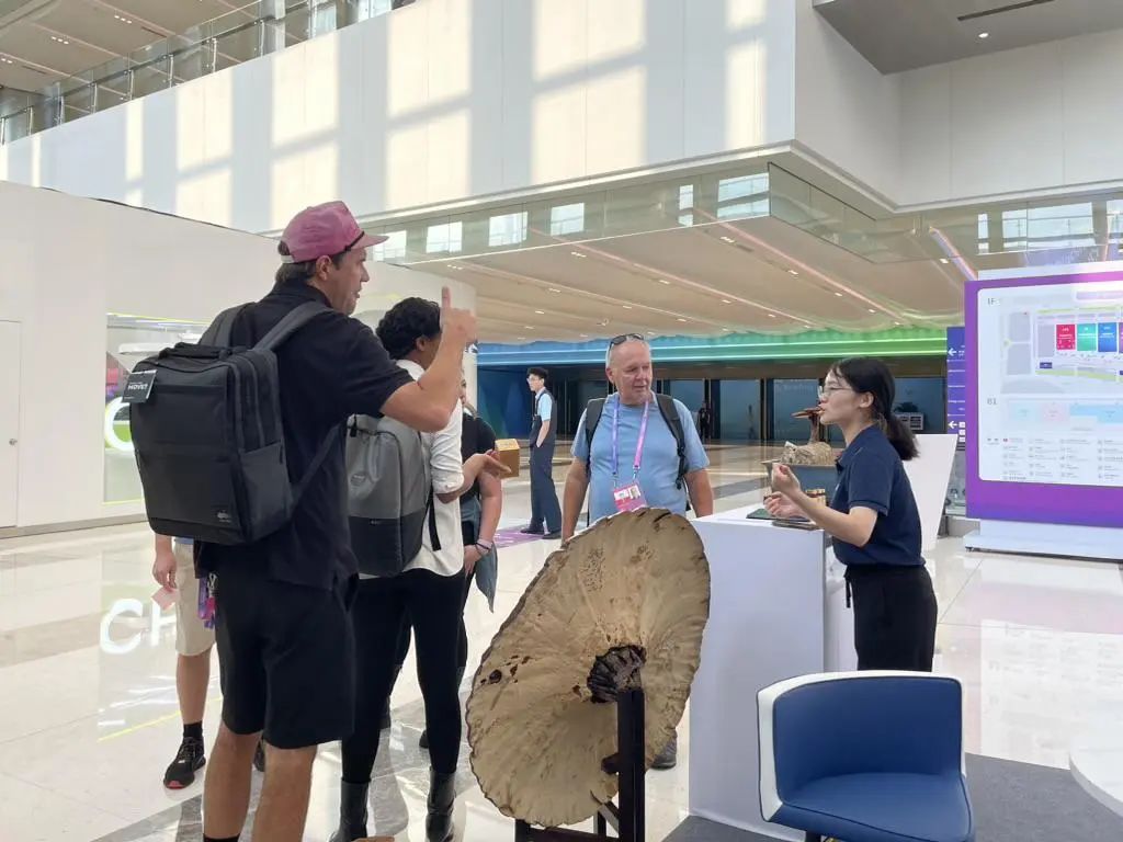 杭州亞運會官方靈芝產品供應商|杭州亞運會官方供應商|中國靈芝十大品牌|仙客來靈芝|仙客來靈芝破壁孢子粉|仙客來孢子油|仙客來靈芝飲片|仙客來破壁孢子粉|靈芝孢子油|孢子粉|靈芝破壁孢子粉|靈芝|中華老字號 杭州亞運會官方靈芝產品供應商|杭州亞運會官方供應商|中國靈芝十大品牌|仙客來靈芝|仙客來靈芝破壁孢子粉|仙客來孢子油|仙客來靈芝飲片|仙客來破壁孢子粉|靈芝孢子油|孢子粉|靈芝破壁孢子粉|靈芝|中華老字號