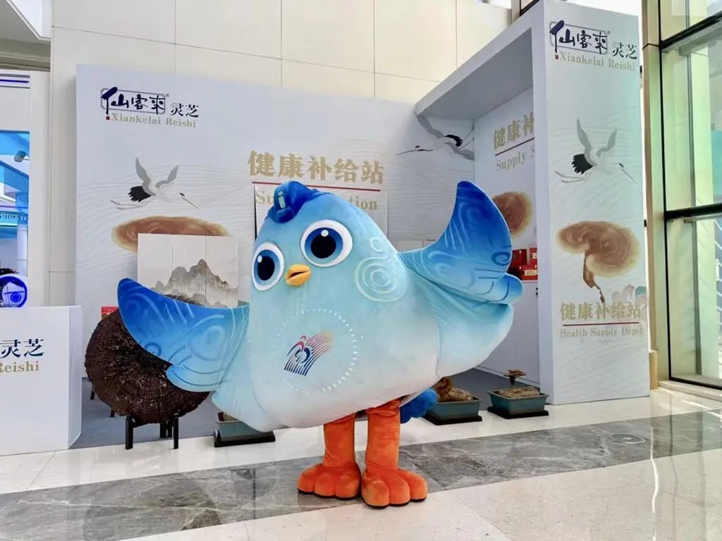 杭州亞運會官方靈芝產品供應商|杭州亞運會官方供應商|中國靈芝十大品牌|仙客來靈芝|仙客來靈芝破壁孢子粉|仙客來孢子油|仙客來靈芝飲片|仙客來破壁孢子粉|靈芝孢子油|孢子粉|靈芝破壁孢子粉|靈芝|中華老字號 杭州亞運會官方靈芝產品供應商|杭州亞運會官方供應商|中國靈芝十大品牌|仙客來靈芝|仙客來靈芝破壁孢子粉|仙客來孢子油|仙客來靈芝飲片|仙客來破壁孢子粉|靈芝孢子油|孢子粉|靈芝破壁孢子粉|靈芝|中華老字號