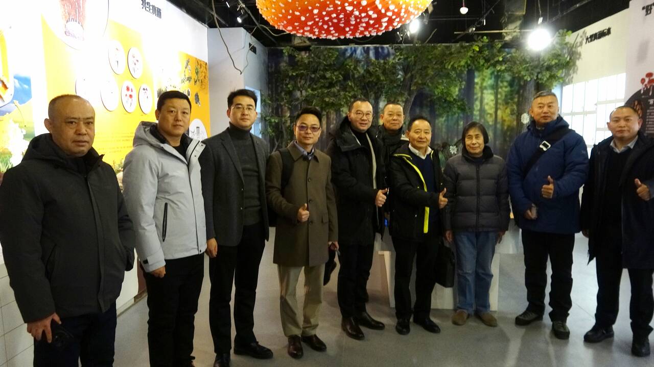 杭州亞運會官方靈芝產(chǎn)品供應(yīng)商|杭州亞運會官方供應(yīng)商|中國靈芝十大品牌|仙客來靈芝|仙客來靈芝破壁孢子粉|仙客來孢子油|仙客來靈芝飲片|仙客來破壁孢子粉|靈芝孢子油|孢子粉|靈芝破壁孢子粉|靈芝|中華老字號 杭州亞運會官方靈芝產(chǎn)品供應(yīng)商|杭州亞運會官方供應(yīng)商|中國靈芝十大品牌|仙客來靈芝|仙客來靈芝破壁孢子粉|仙客來孢子油|仙客來靈芝飲片|仙客來破壁孢子粉|靈芝孢子油|孢子粉|靈芝破壁孢子粉|靈芝|中華老字號