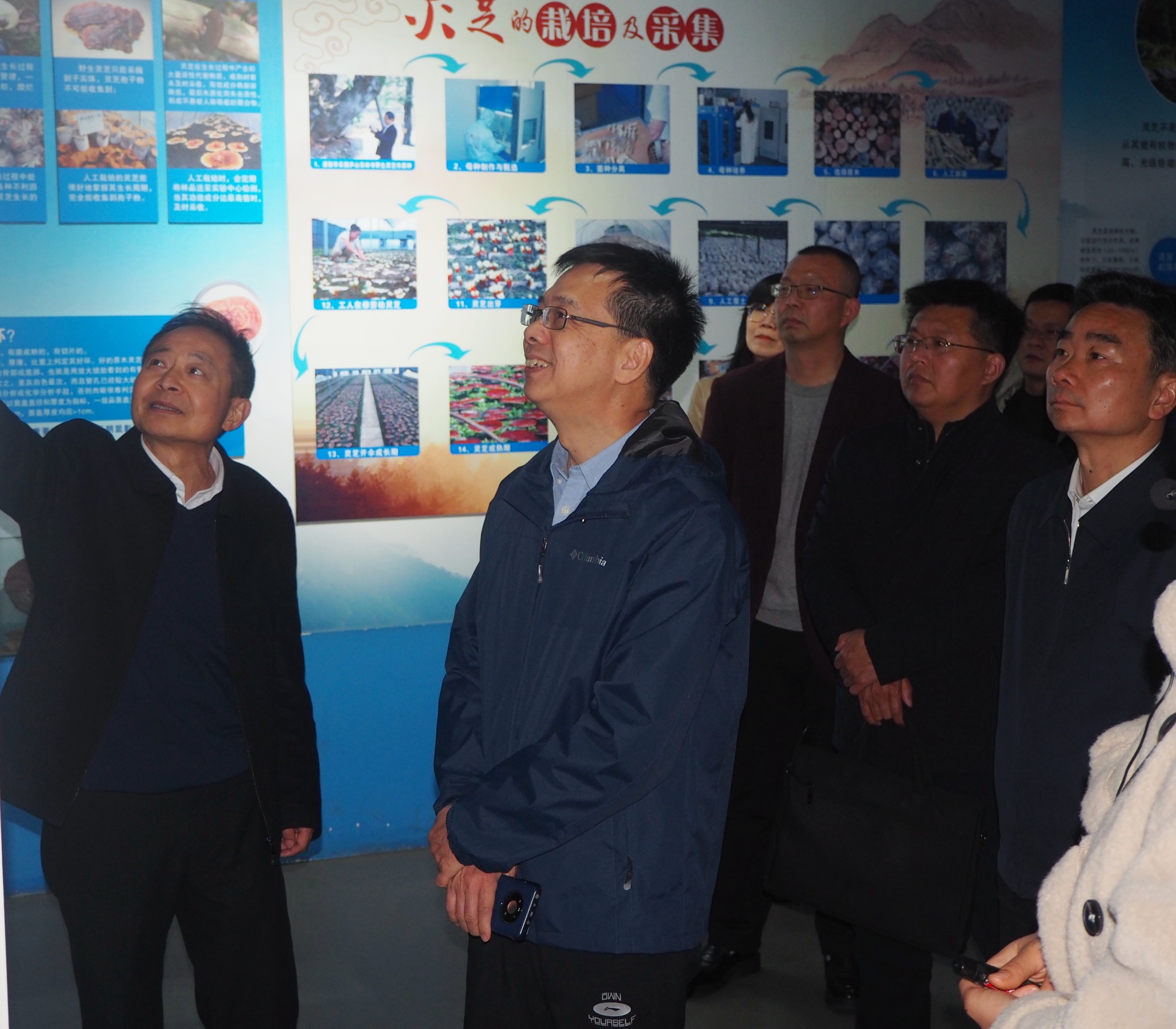 杭州亞運會官方靈芝產(chǎn)品供應(yīng)商|杭州亞運會官方供應(yīng)商|中國靈芝十大品牌|仙客來靈芝|仙客來靈芝破壁孢子粉|仙客來孢子油|仙客來靈芝飲片|仙客來破壁孢子粉|靈芝孢子油|孢子粉|靈芝破壁孢子粉|靈芝|中華老字號 杭州亞運會官方靈芝產(chǎn)品供應(yīng)商|杭州亞運會官方供應(yīng)商|中國靈芝十大品牌|仙客來靈芝|仙客來靈芝破壁孢子粉|仙客來孢子油|仙客來靈芝飲片|仙客來破壁孢子粉|靈芝孢子油|孢子粉|靈芝破壁孢子粉|靈芝|中華老字號