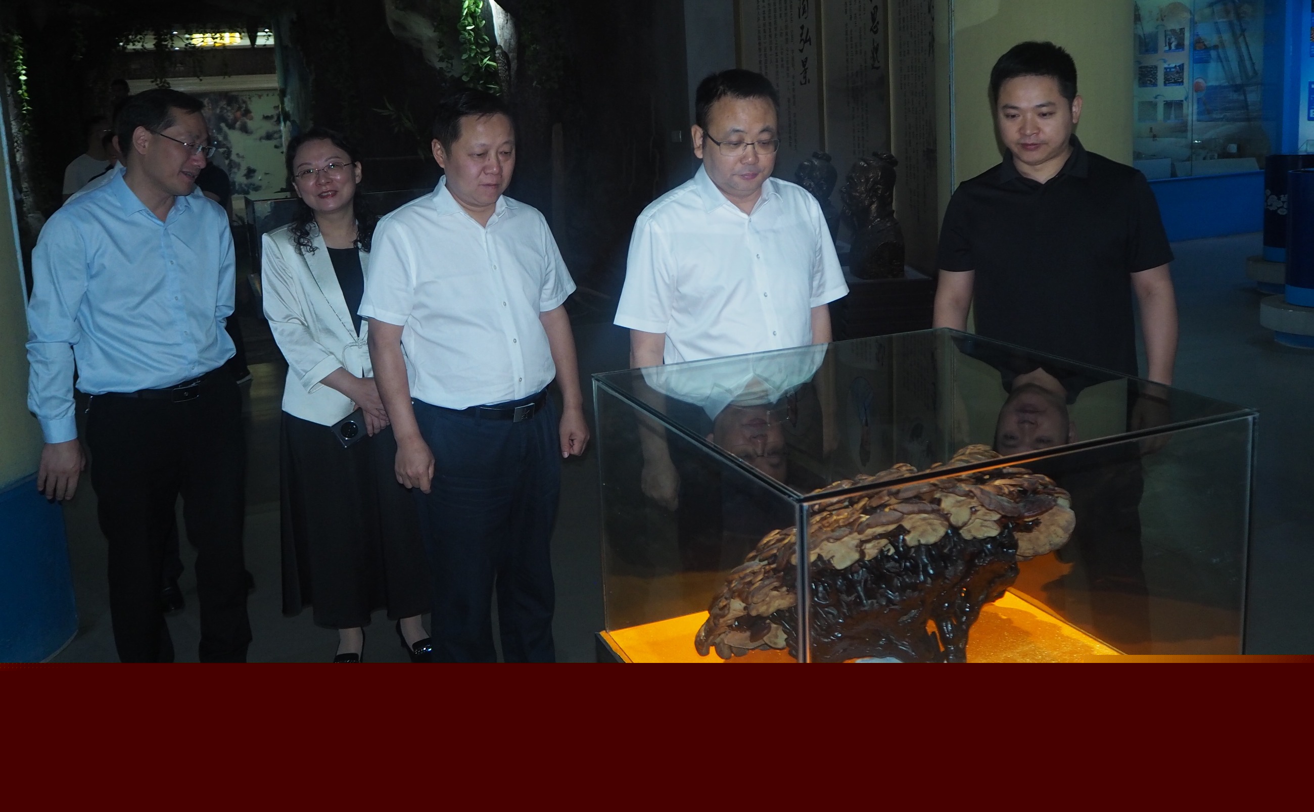 杭州亞運(yùn)會(huì)官方靈芝產(chǎn)品供應(yīng)商|杭州亞運(yùn)會(huì)官方供應(yīng)商|中國靈芝十大品牌|仙客來靈芝|仙客來靈芝破壁孢子粉|仙客來孢子油|仙客來靈芝飲片|仙客來破壁孢子粉|靈芝孢子油|孢子粉|靈芝破壁孢子粉|靈芝|中華老字號(hào) 杭州亞運(yùn)會(huì)官方靈芝產(chǎn)品供應(yīng)商|杭州亞運(yùn)會(huì)官方供應(yīng)商|中國靈芝十大品牌|仙客來靈芝|仙客來靈芝破壁孢子粉|仙客來孢子油|仙客來靈芝飲片|仙客來破壁孢子粉|靈芝孢子油|孢子粉|靈芝破壁孢子粉|靈芝|中華老字號(hào)