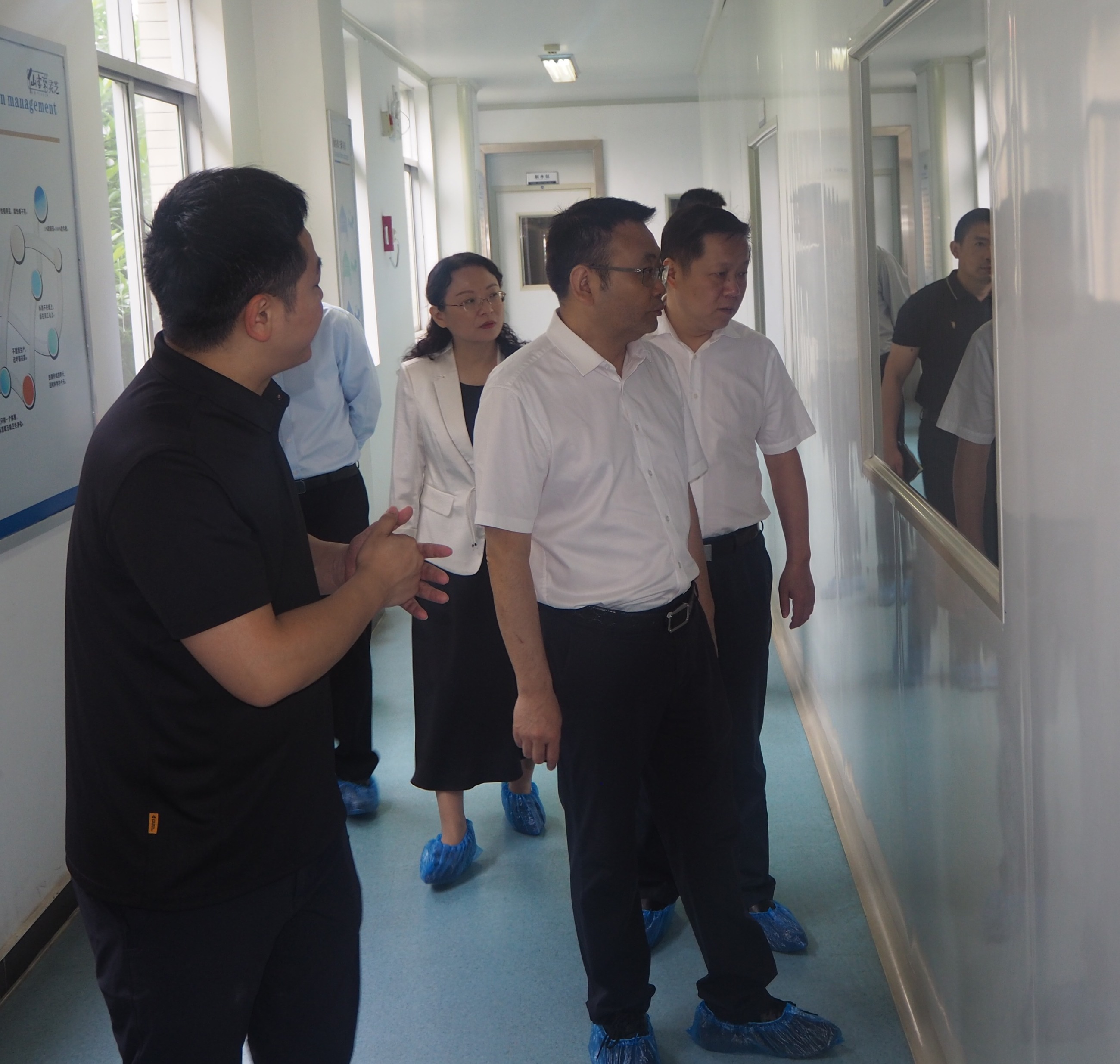 杭州亞運(yùn)會(huì)官方靈芝產(chǎn)品供應(yīng)商|杭州亞運(yùn)會(huì)官方供應(yīng)商|中國靈芝十大品牌|仙客來靈芝|仙客來靈芝破壁孢子粉|仙客來孢子油|仙客來靈芝飲片|仙客來破壁孢子粉|靈芝孢子油|孢子粉|靈芝破壁孢子粉|靈芝|中華老字號(hào) 杭州亞運(yùn)會(huì)官方靈芝產(chǎn)品供應(yīng)商|杭州亞運(yùn)會(huì)官方供應(yīng)商|中國靈芝十大品牌|仙客來靈芝|仙客來靈芝破壁孢子粉|仙客來孢子油|仙客來靈芝飲片|仙客來破壁孢子粉|靈芝孢子油|孢子粉|靈芝破壁孢子粉|靈芝|中華老字號(hào)